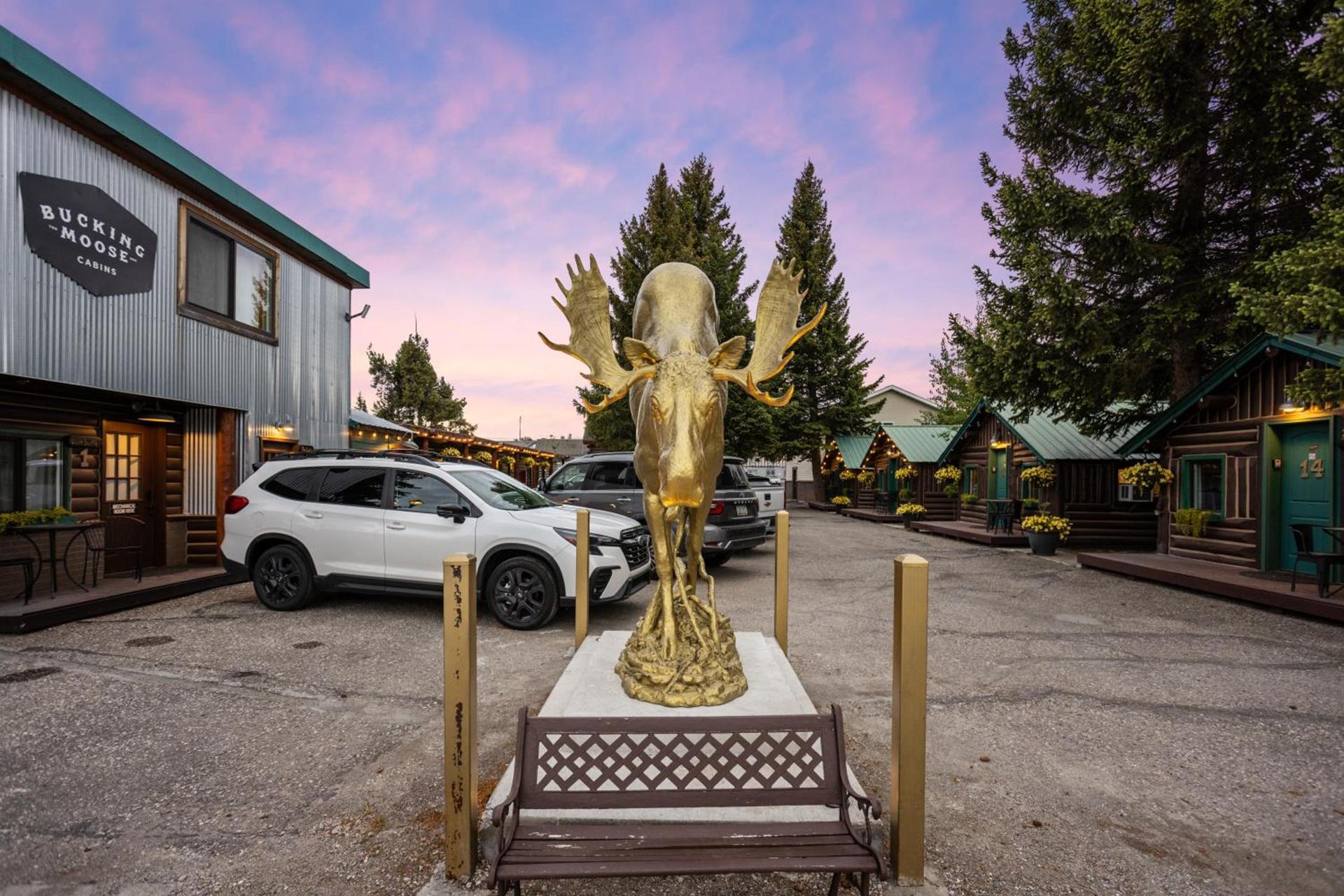The Bucking Moose photo 87