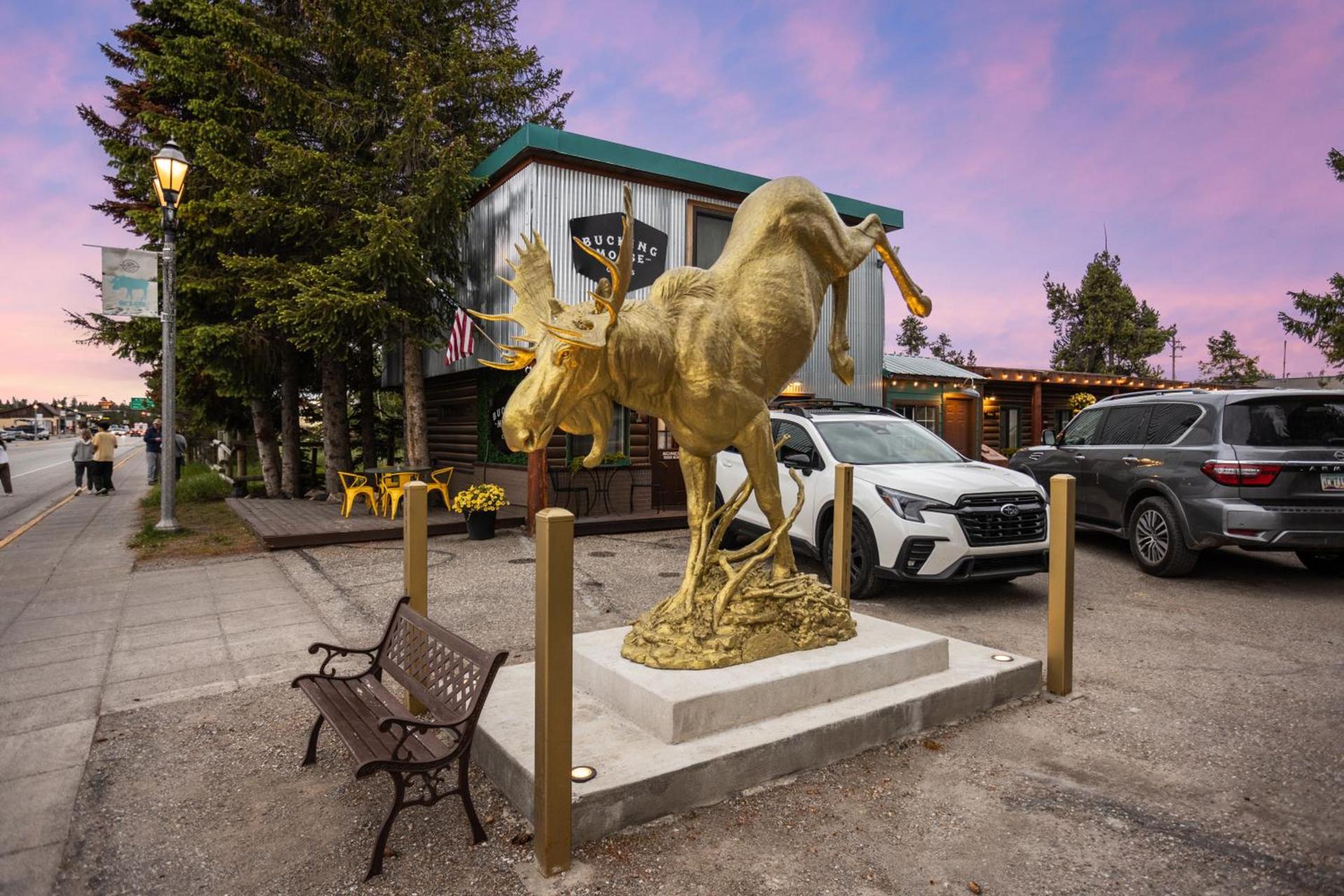 The Bucking Moose photo 86