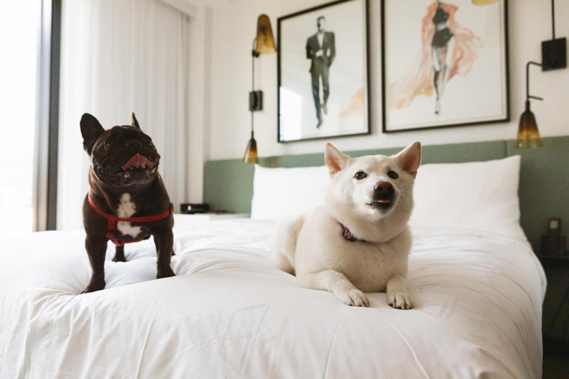 The Godfrey Hotel Hollywood photo 70