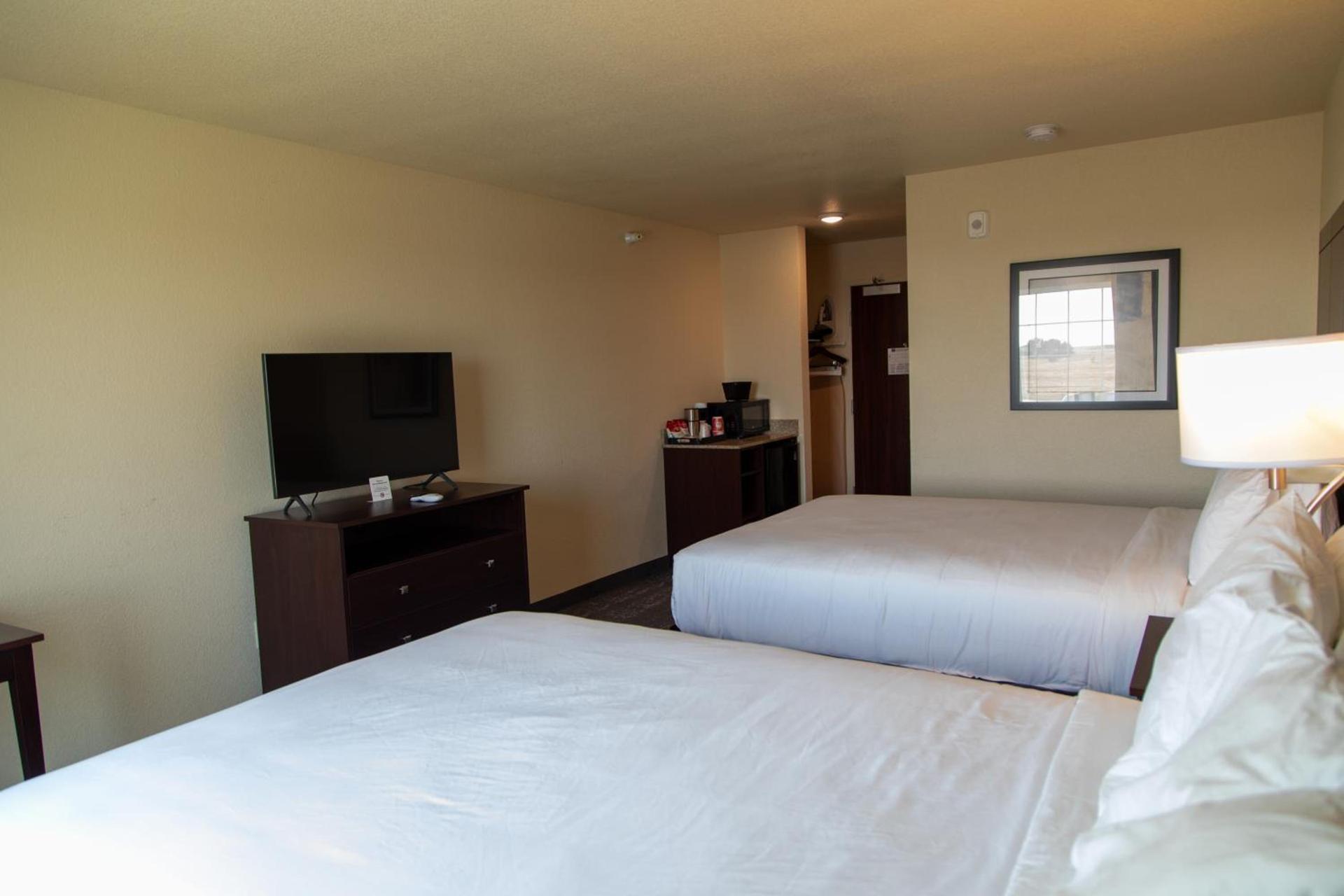 Cobblestone Inn & Suites -Springfield photo 3