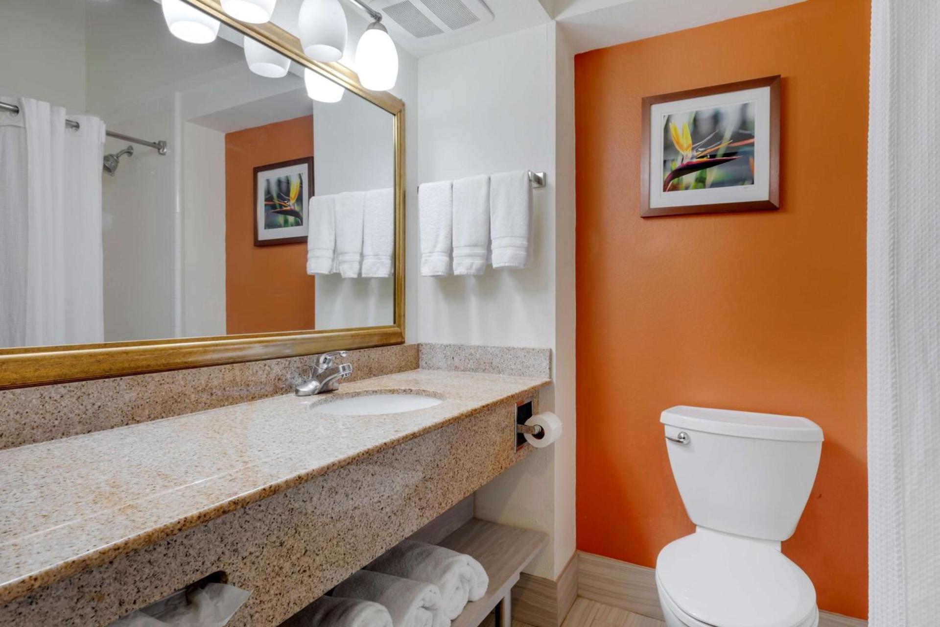 Best Western Plus Rockwall Inn & Suites photo 24