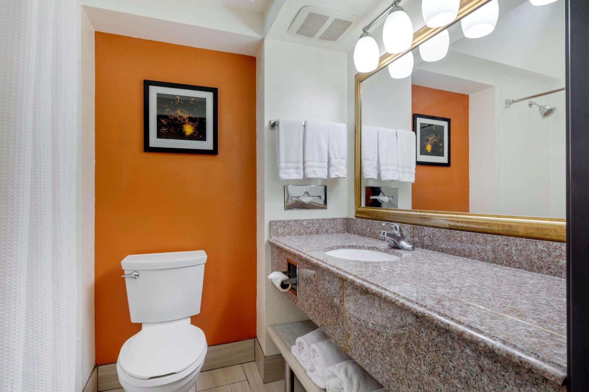 Best Western Plus Rockwall Inn & Suites photo 23