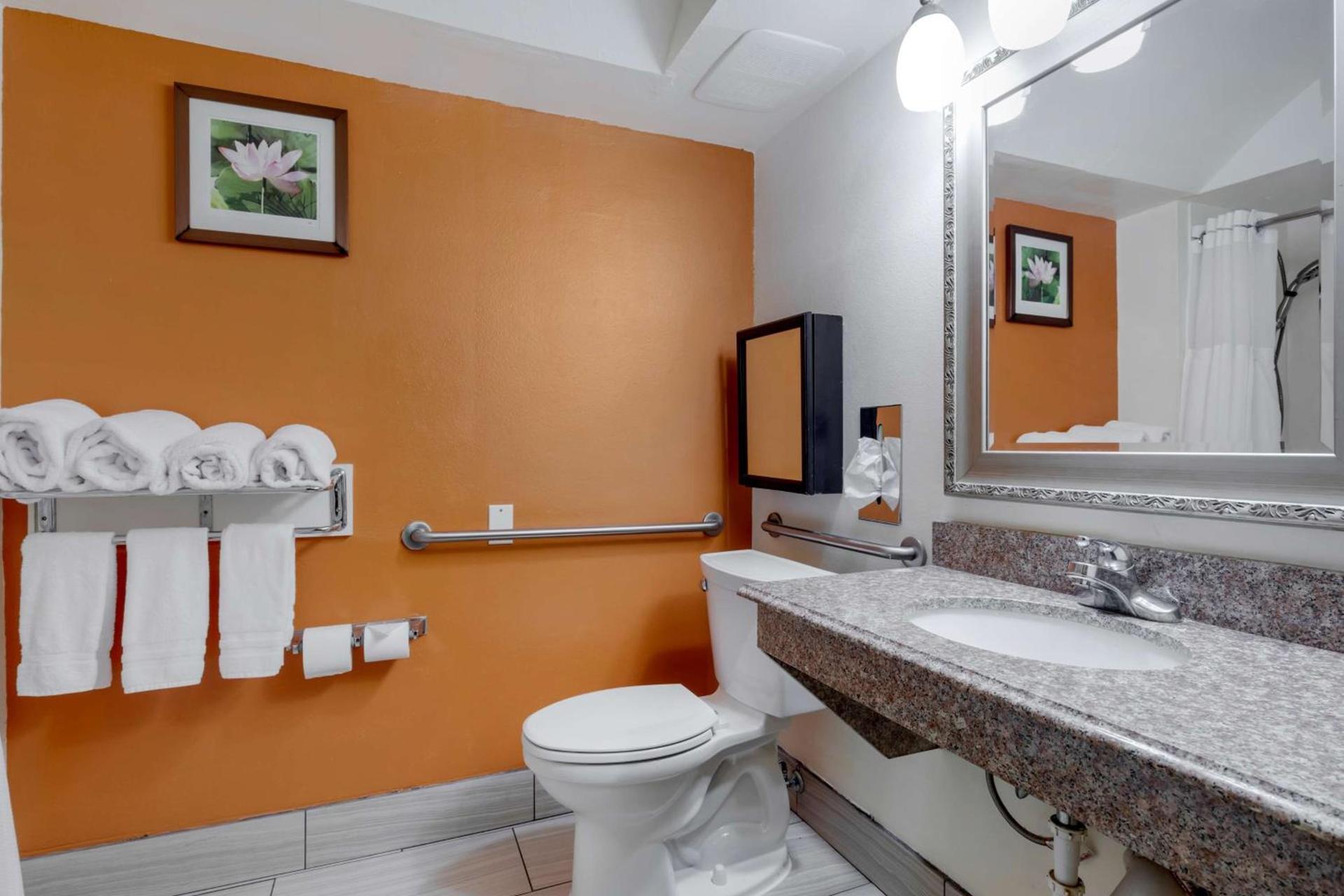 Best Western Plus Rockwall Inn & Suites photo 27