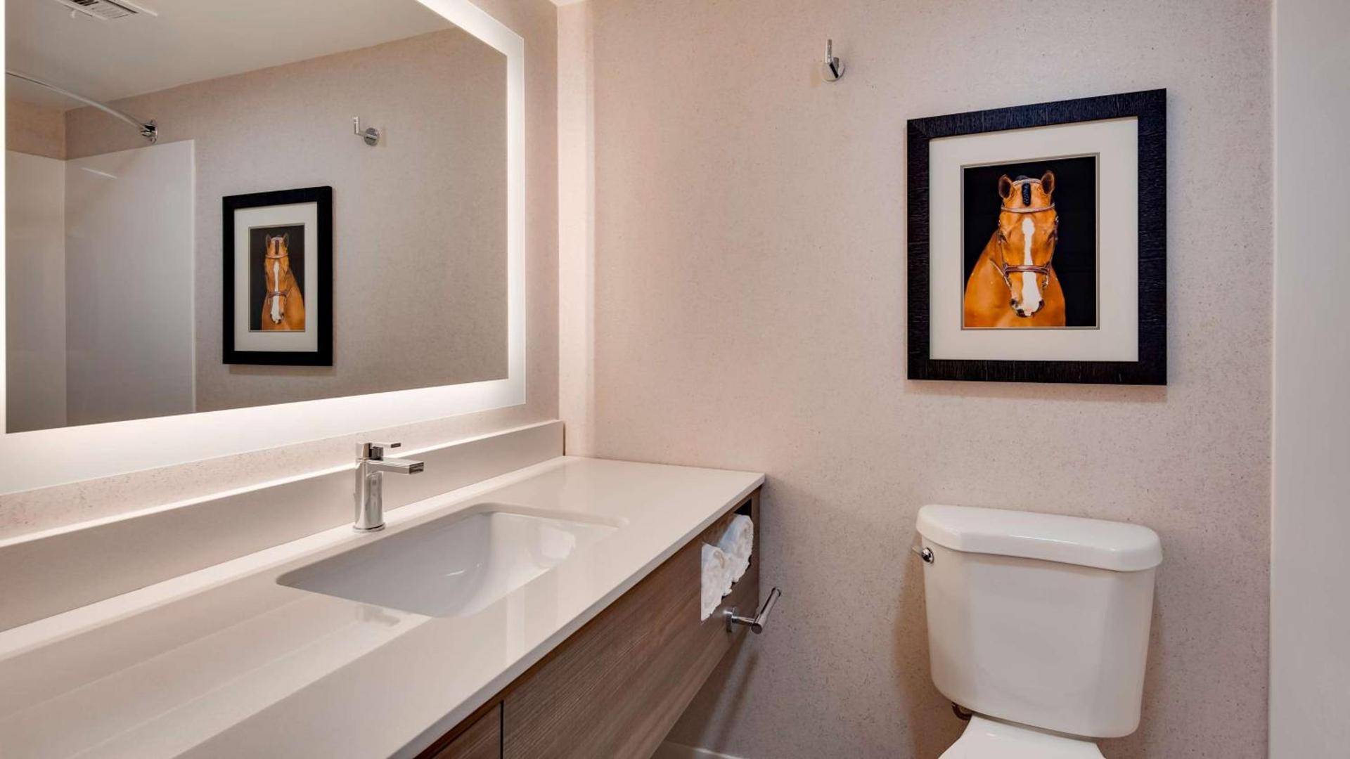 Aiden by Best Western Scottsdale North photo 14