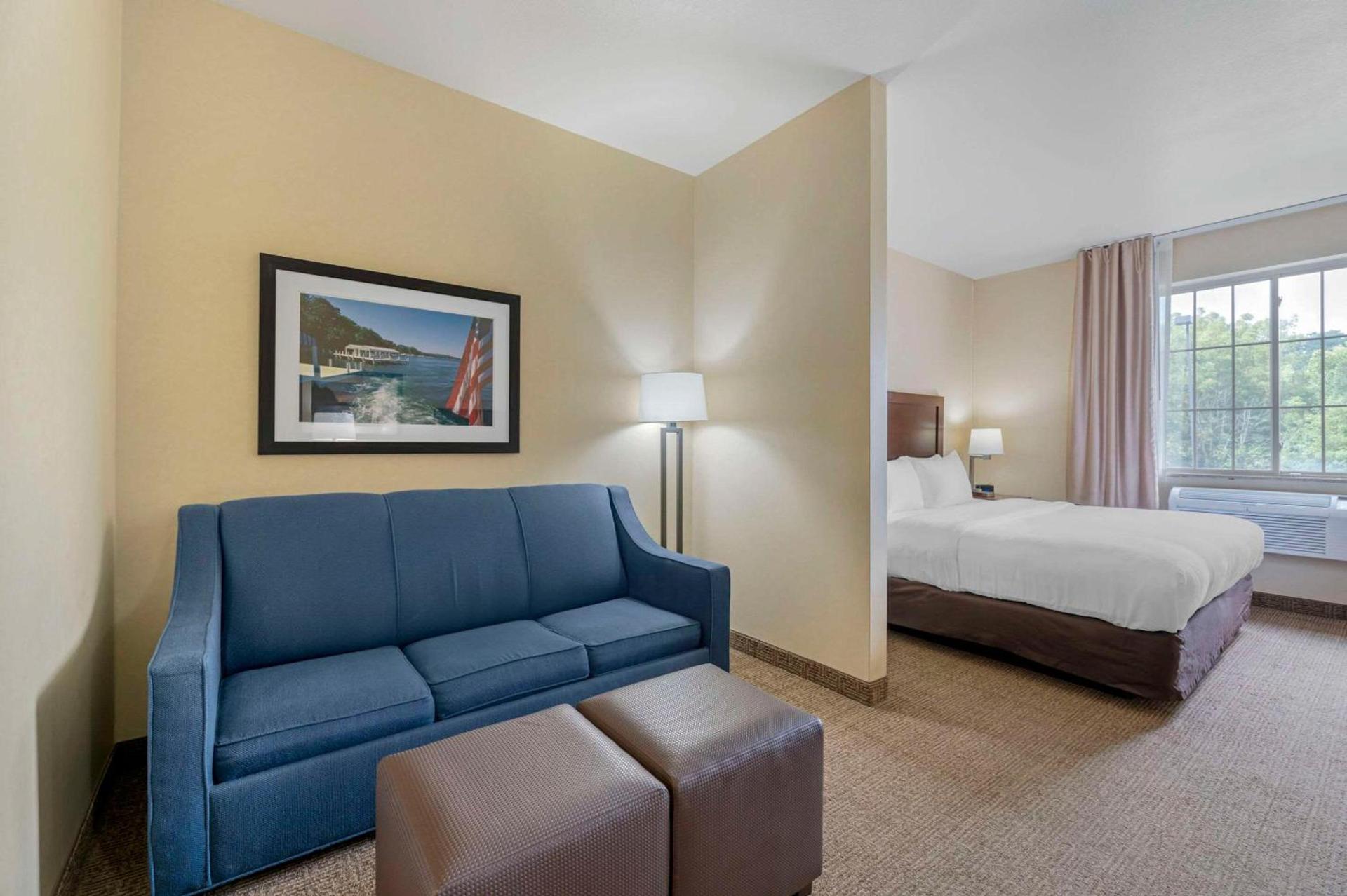 Comfort Suites Lake Geneva East photo 10