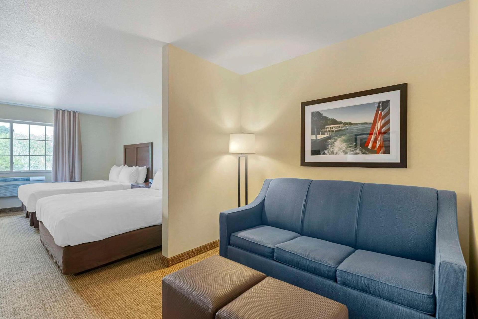 Comfort Suites Lake Geneva East photo 19