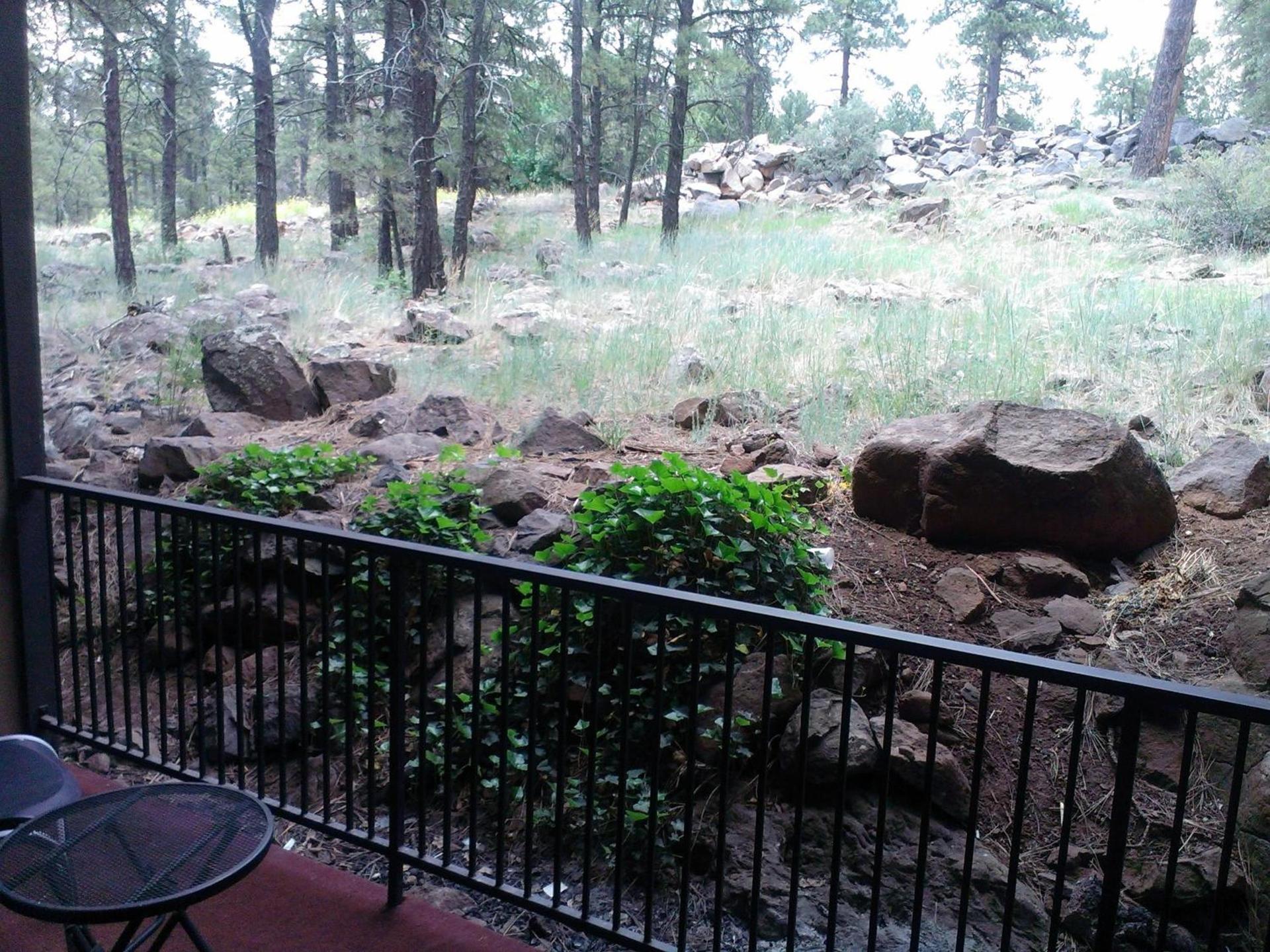 Motel In The Pines photo 17