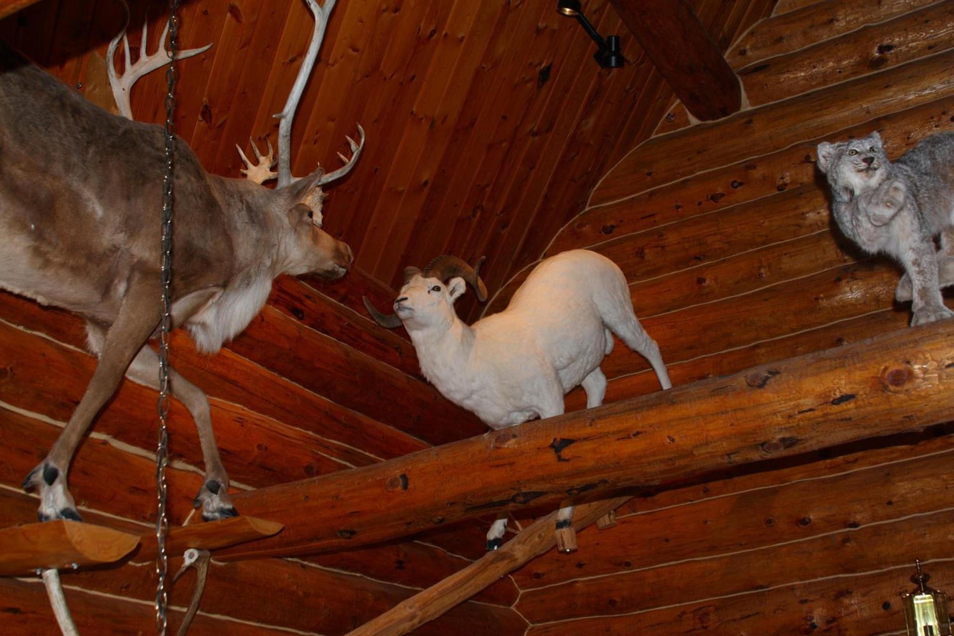 Wise Old Hunter Lodge photo 21