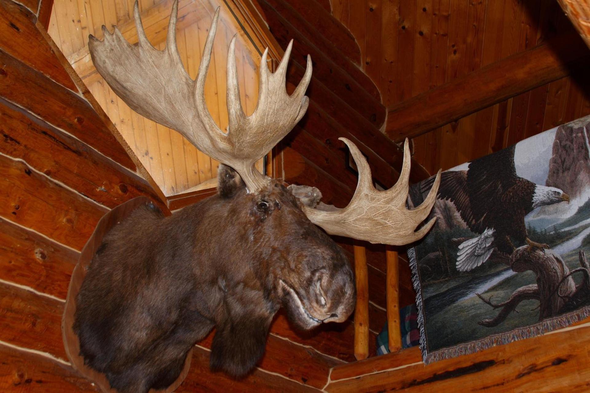 Wise Old Hunter Lodge photo 24