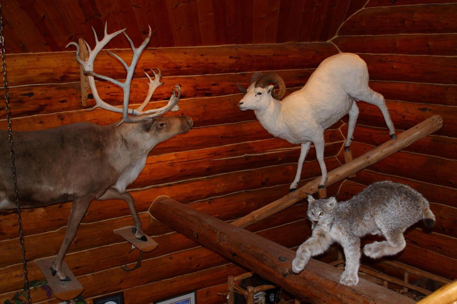 Wise Old Hunter Lodge photo 3