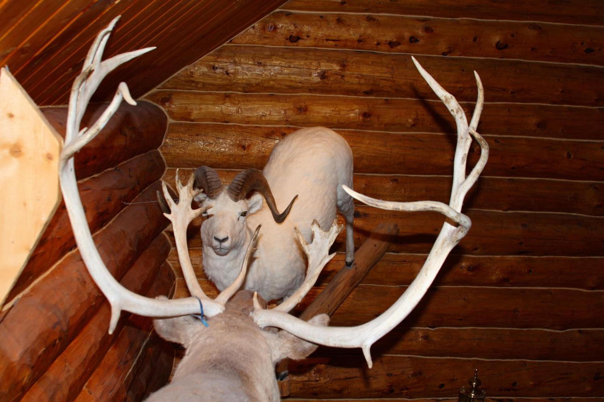 Wise Old Hunter Lodge photo 25