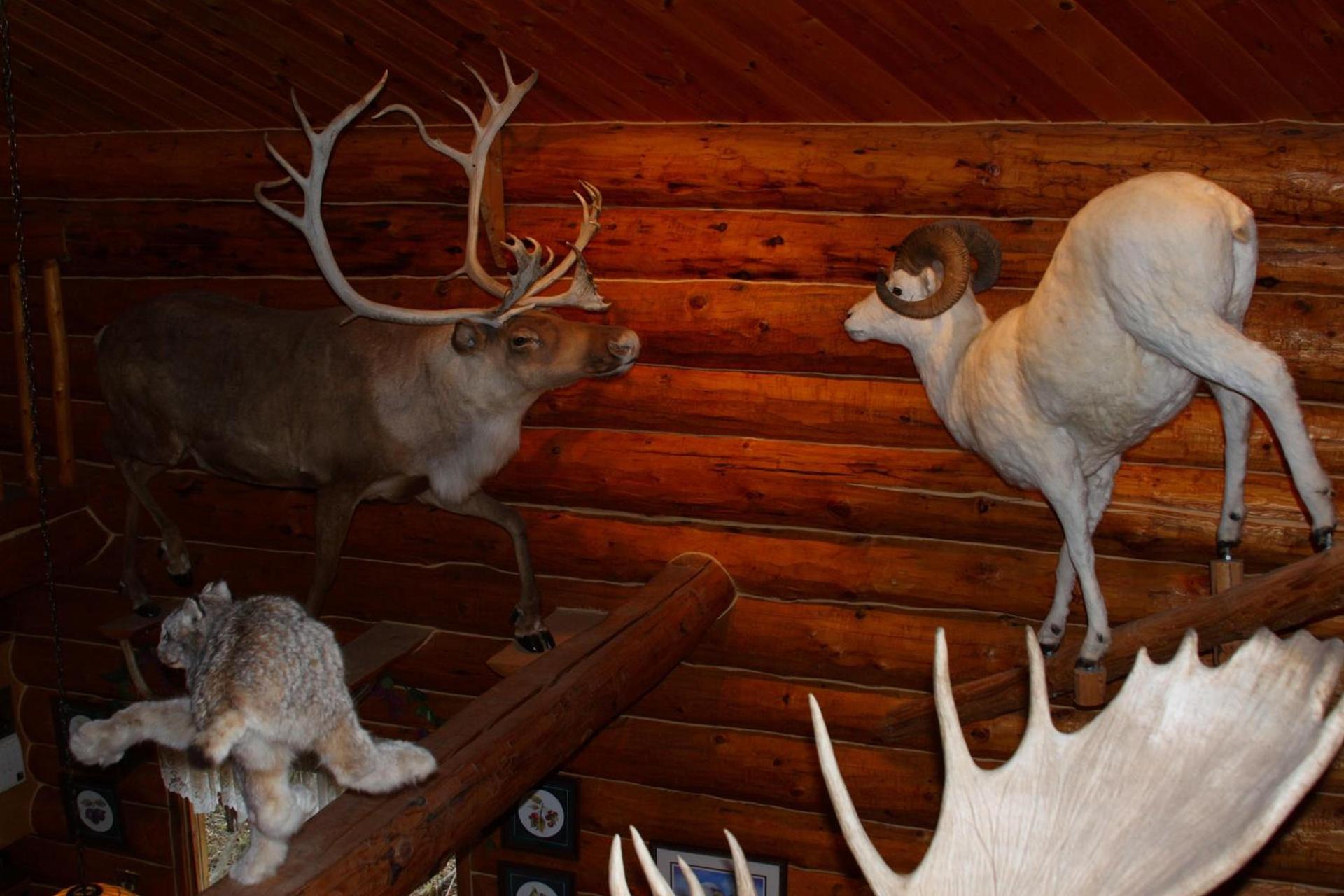 Wise Old Hunter Lodge photo 18