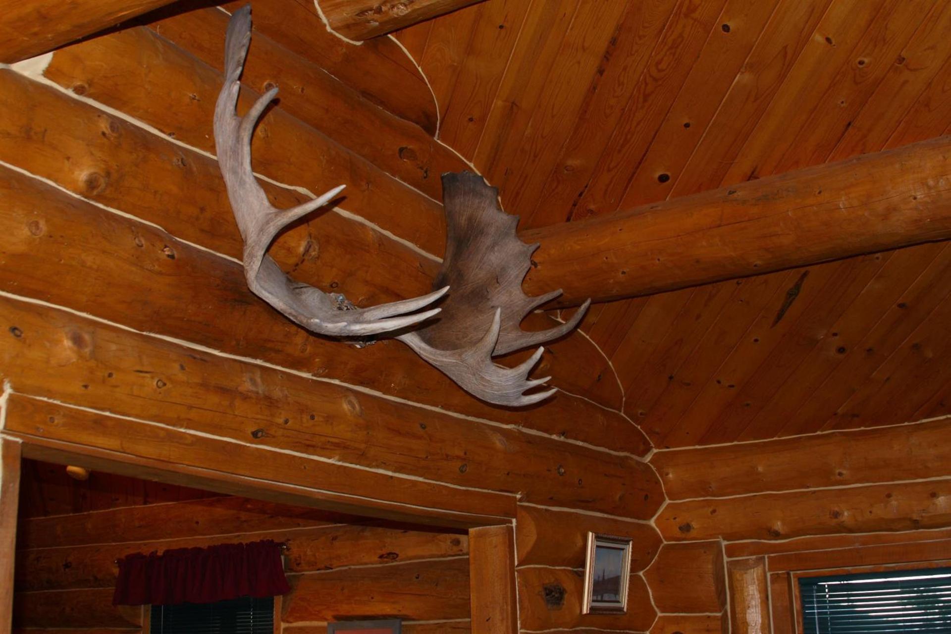 Moose Cabin photo 14