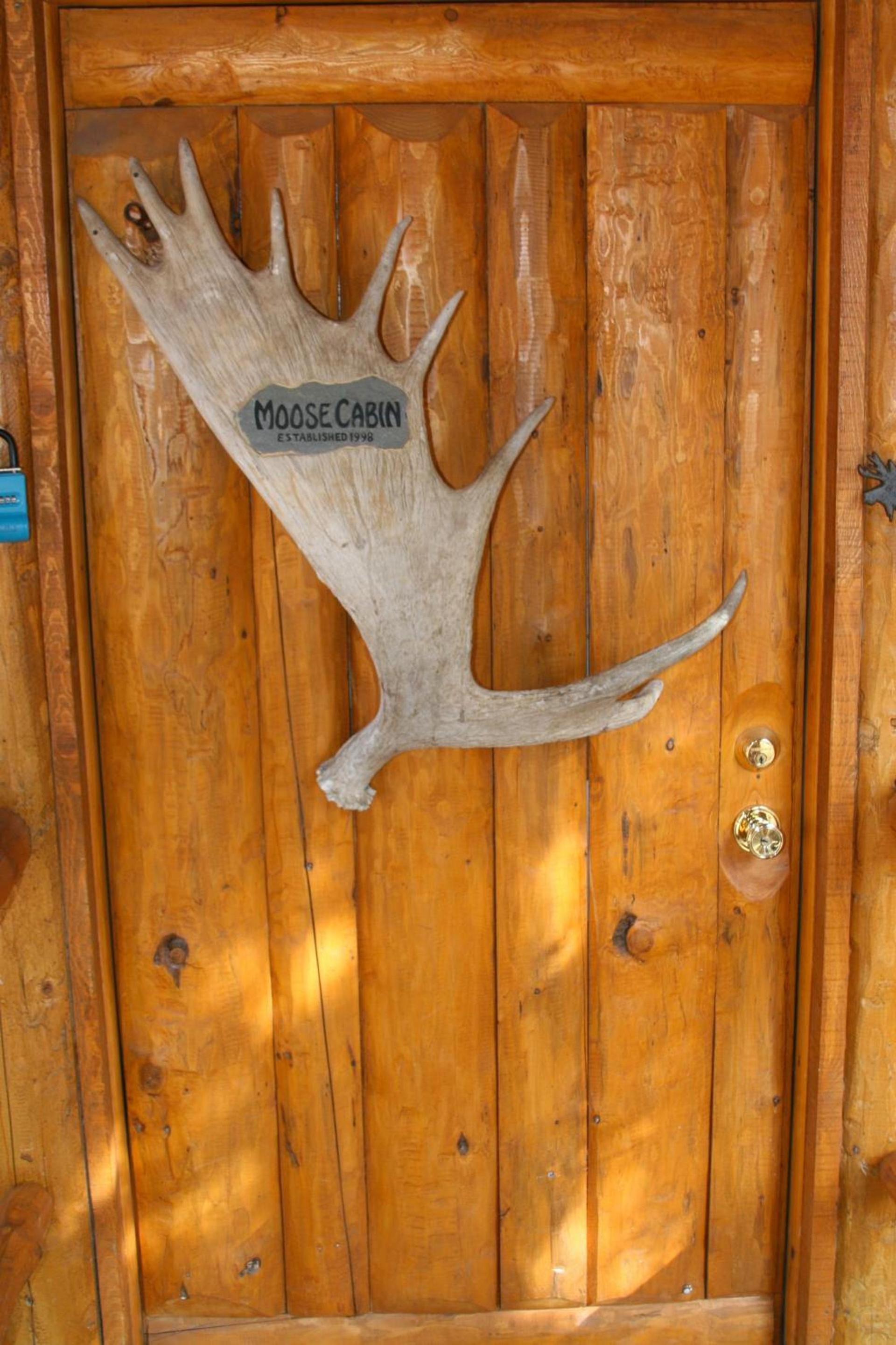 Moose Cabin photo 3