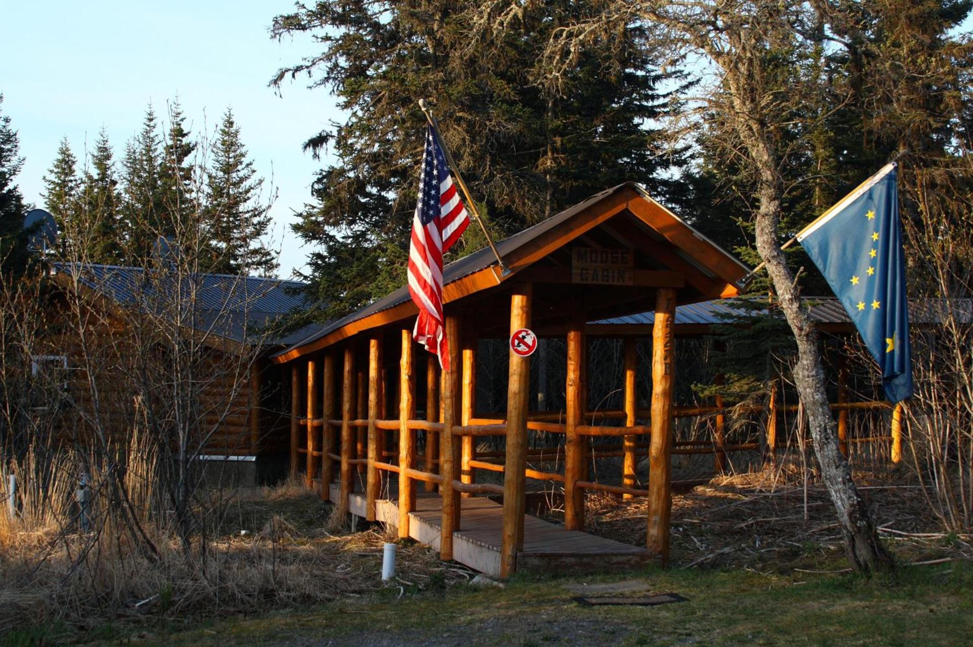 Moose Cabin photo 8