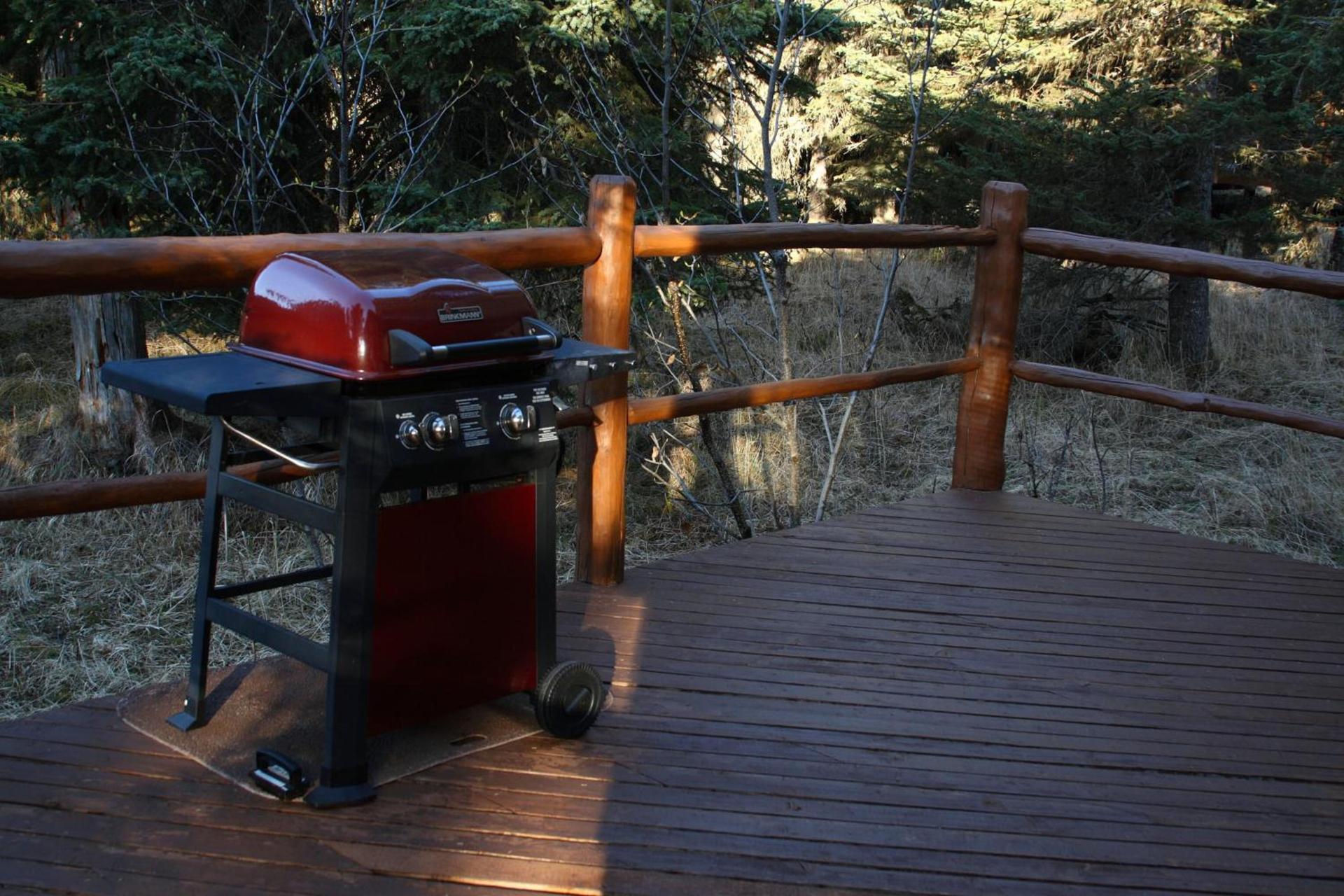 Moose Cabin photo 2