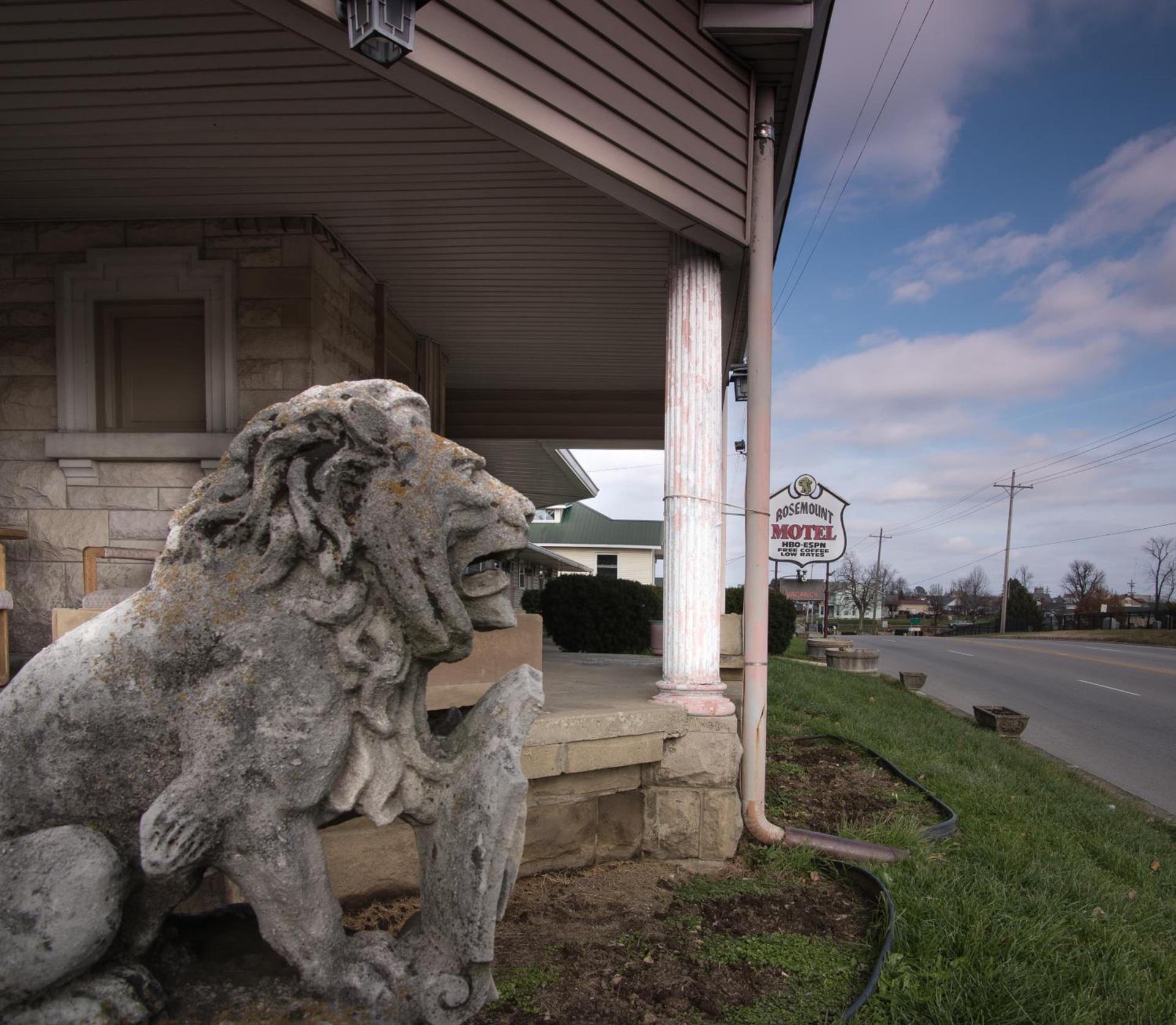 Rosemount Motel photo 7