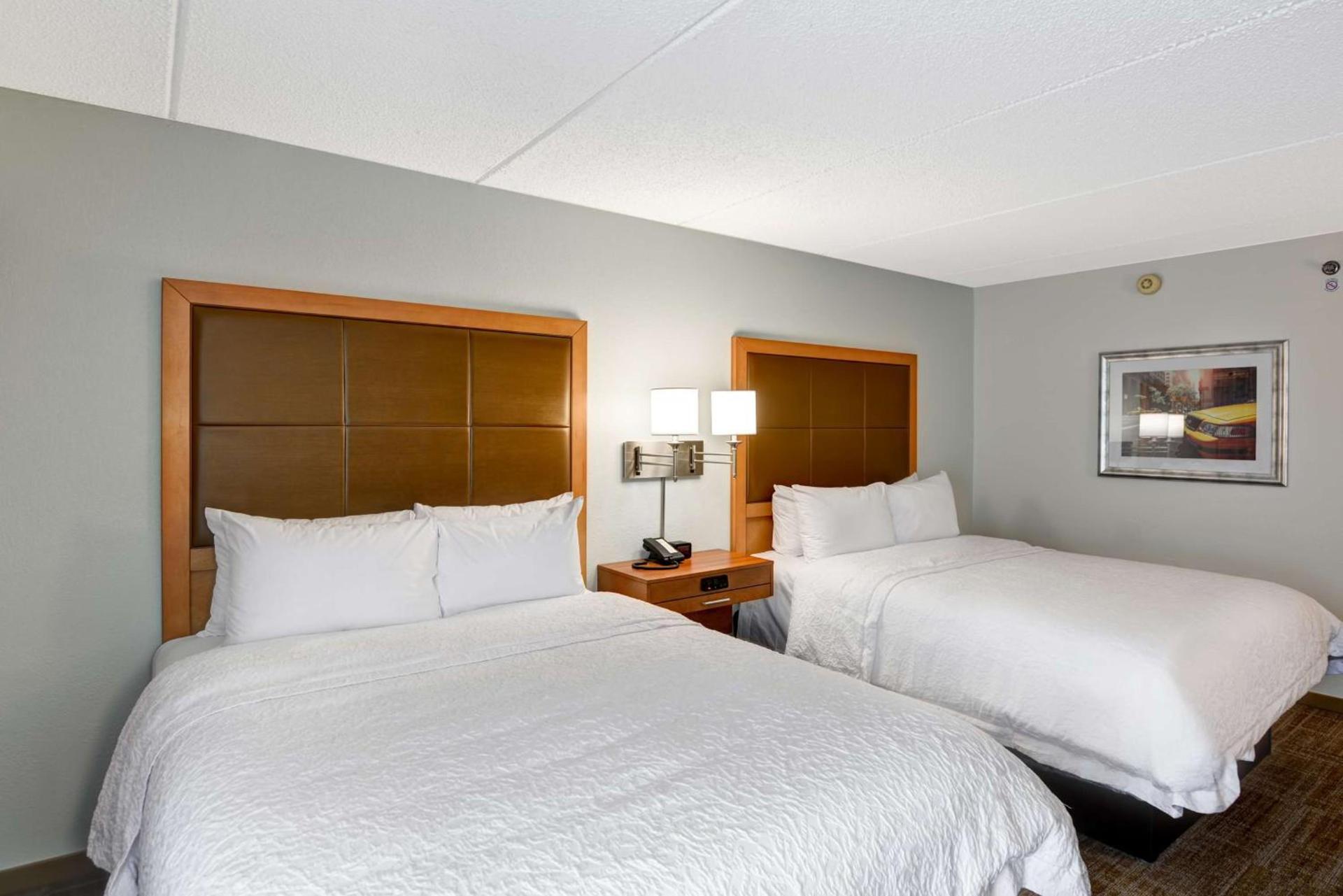 Hampton Inn Albany-Wolf Road photo 24
