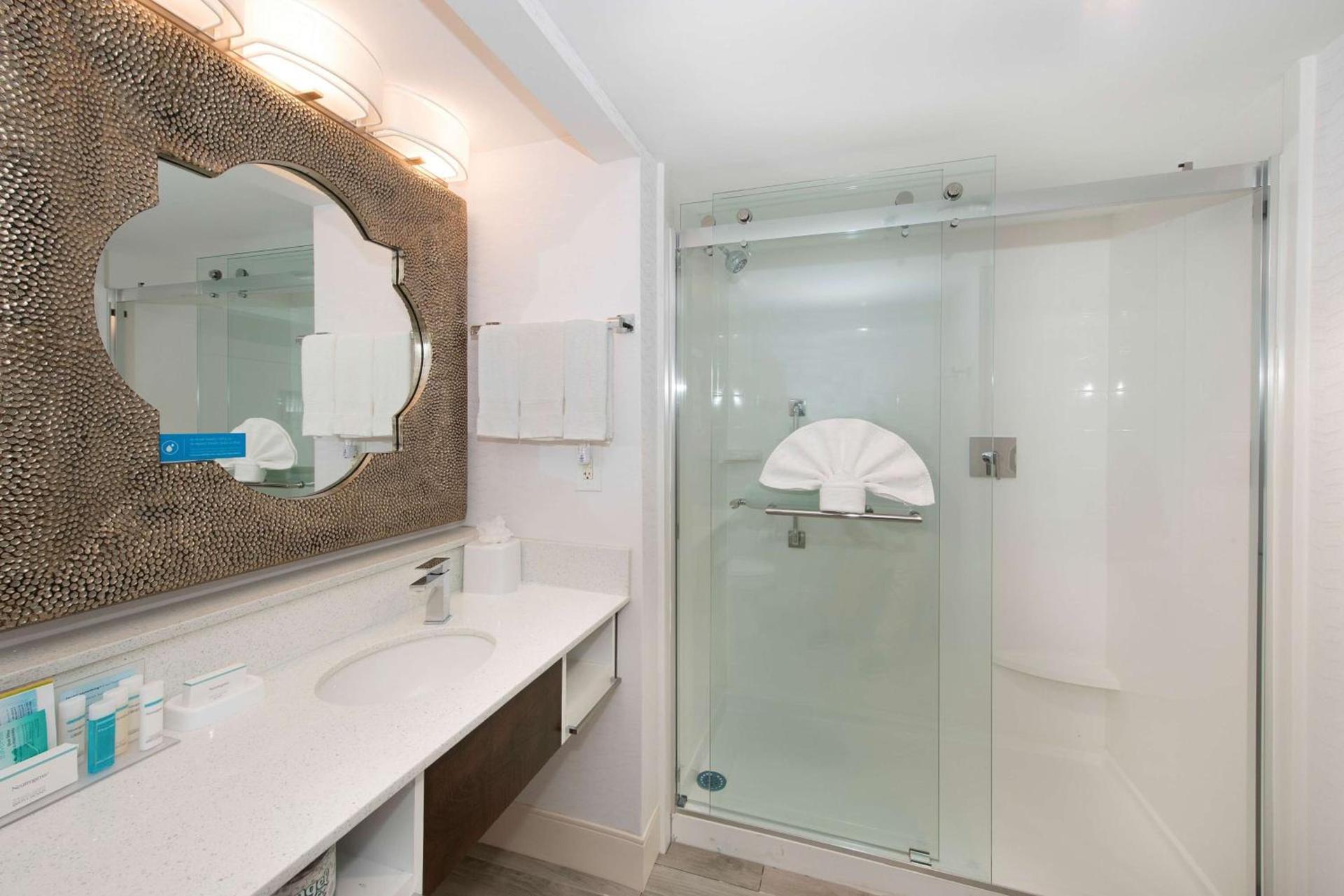Hampton Inn & Suites Atlanta-Galleria photo 19