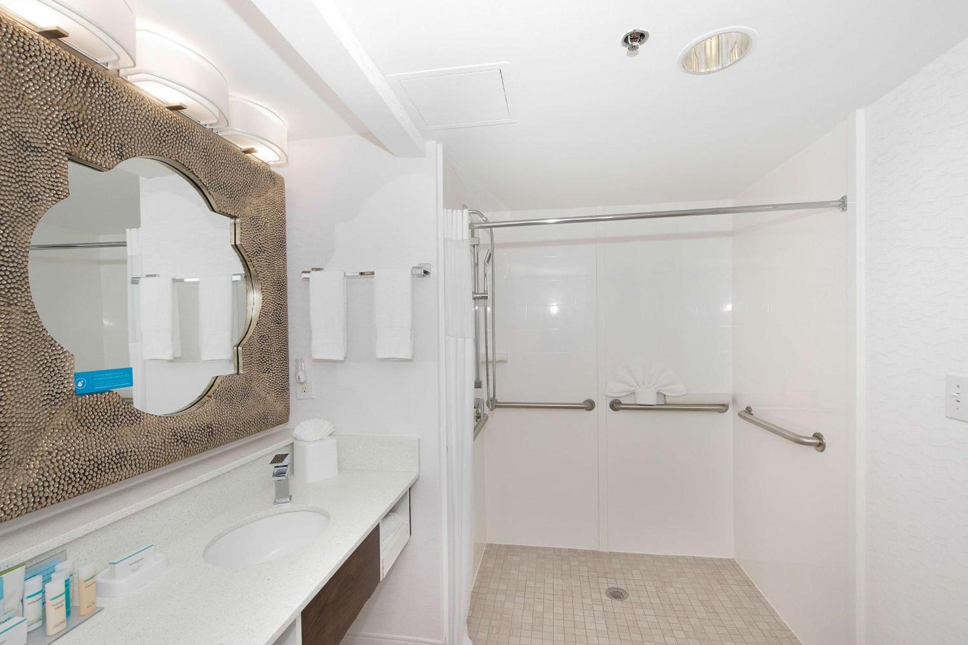 Hampton Inn & Suites Atlanta-Galleria photo 32