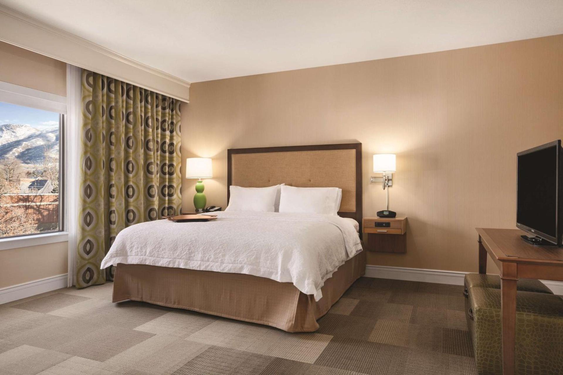 Hampton Inn Brigham City photo 19