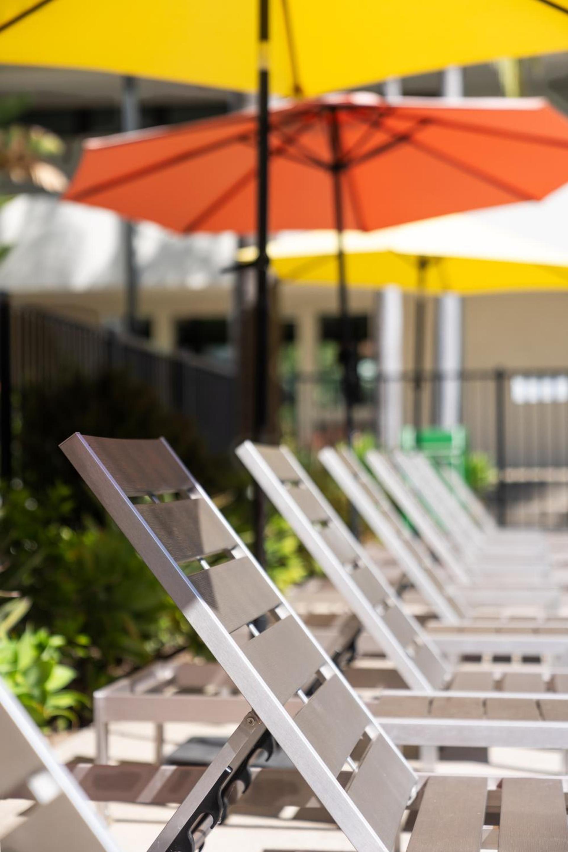 Lemon Tree Inn photo 47