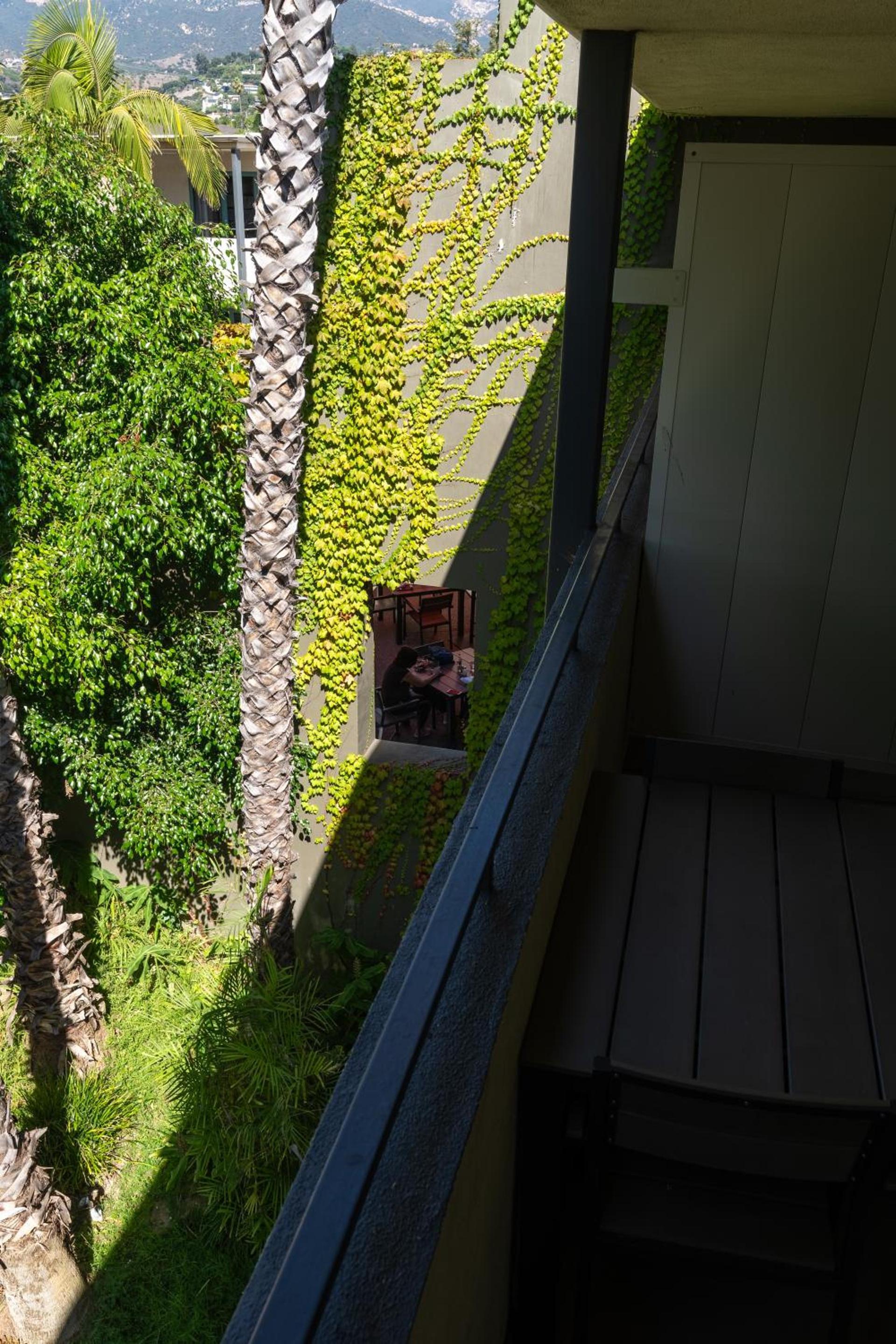 Lemon Tree Inn photo 46