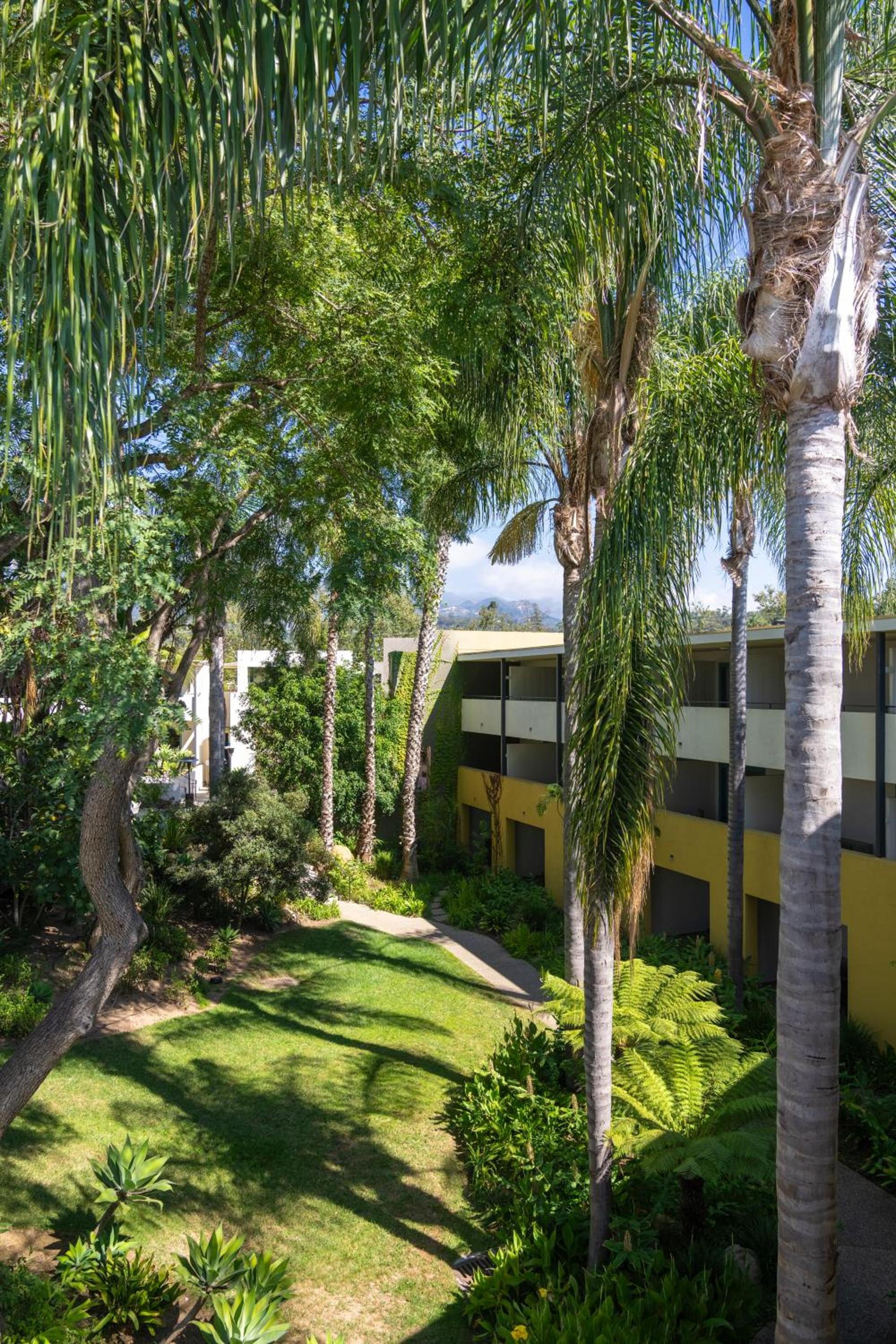 Lemon Tree Inn photo 54
