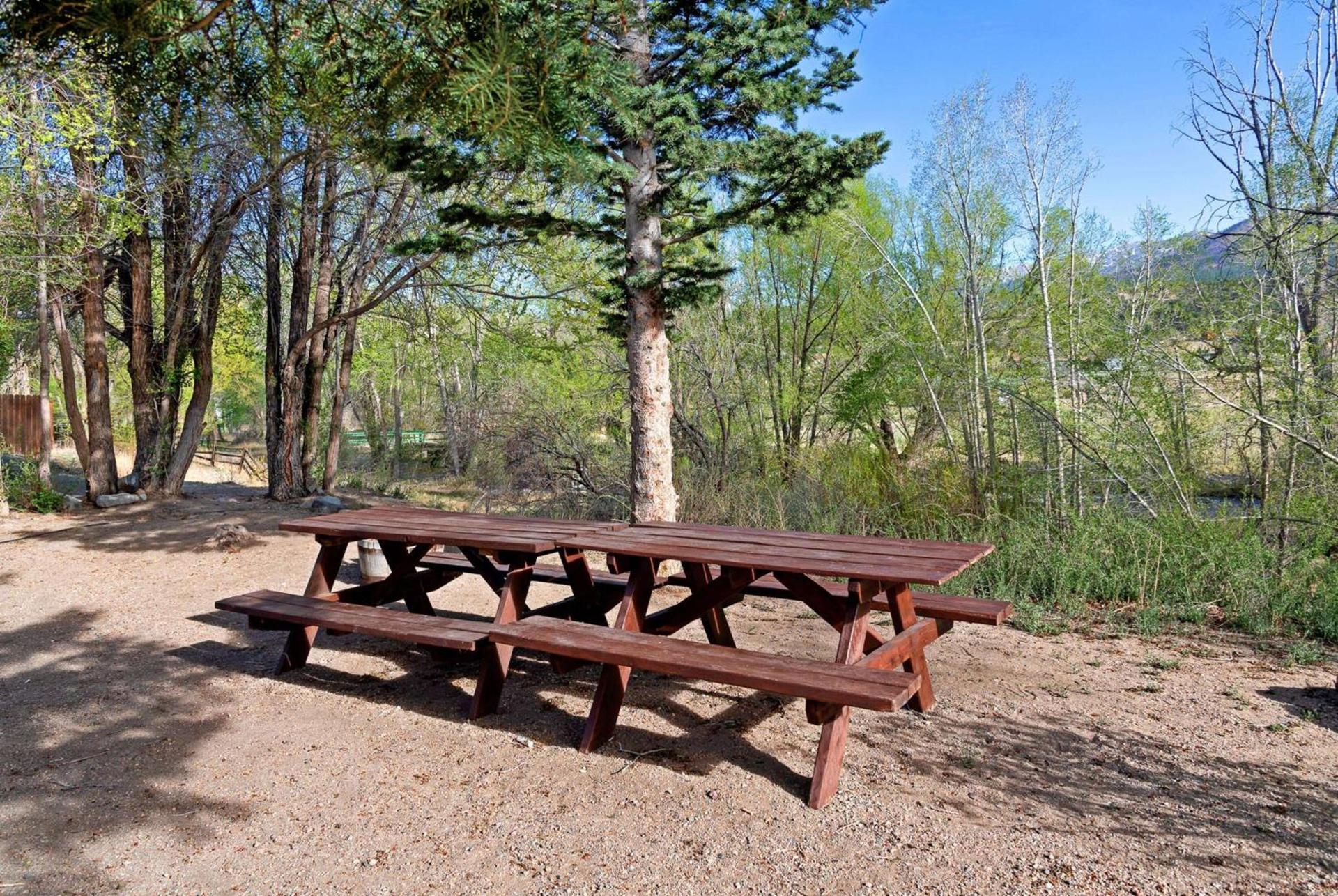 Baymont by Wyndham Salida photo 67