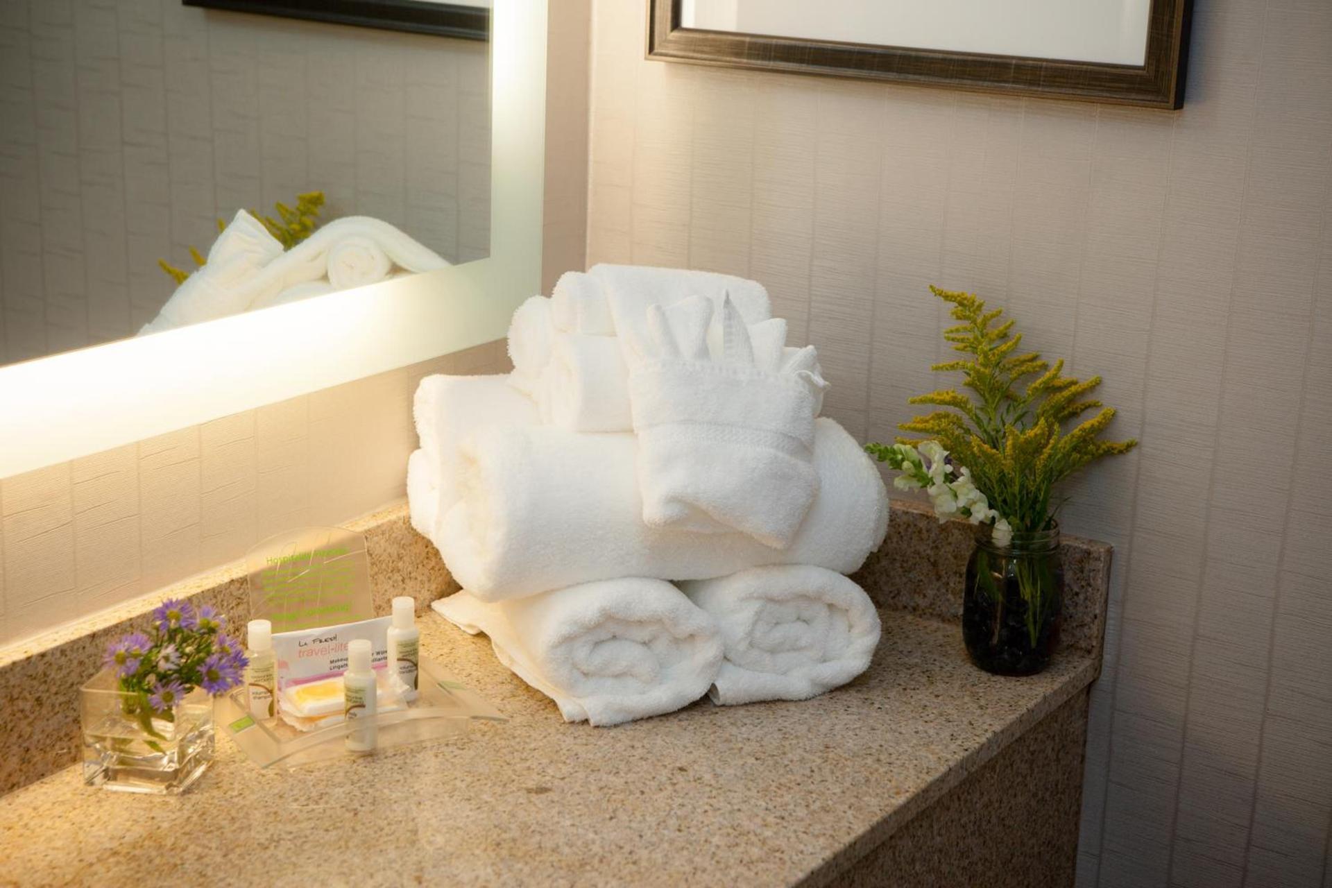 Holiday Inn Greenville by IHG photo 2