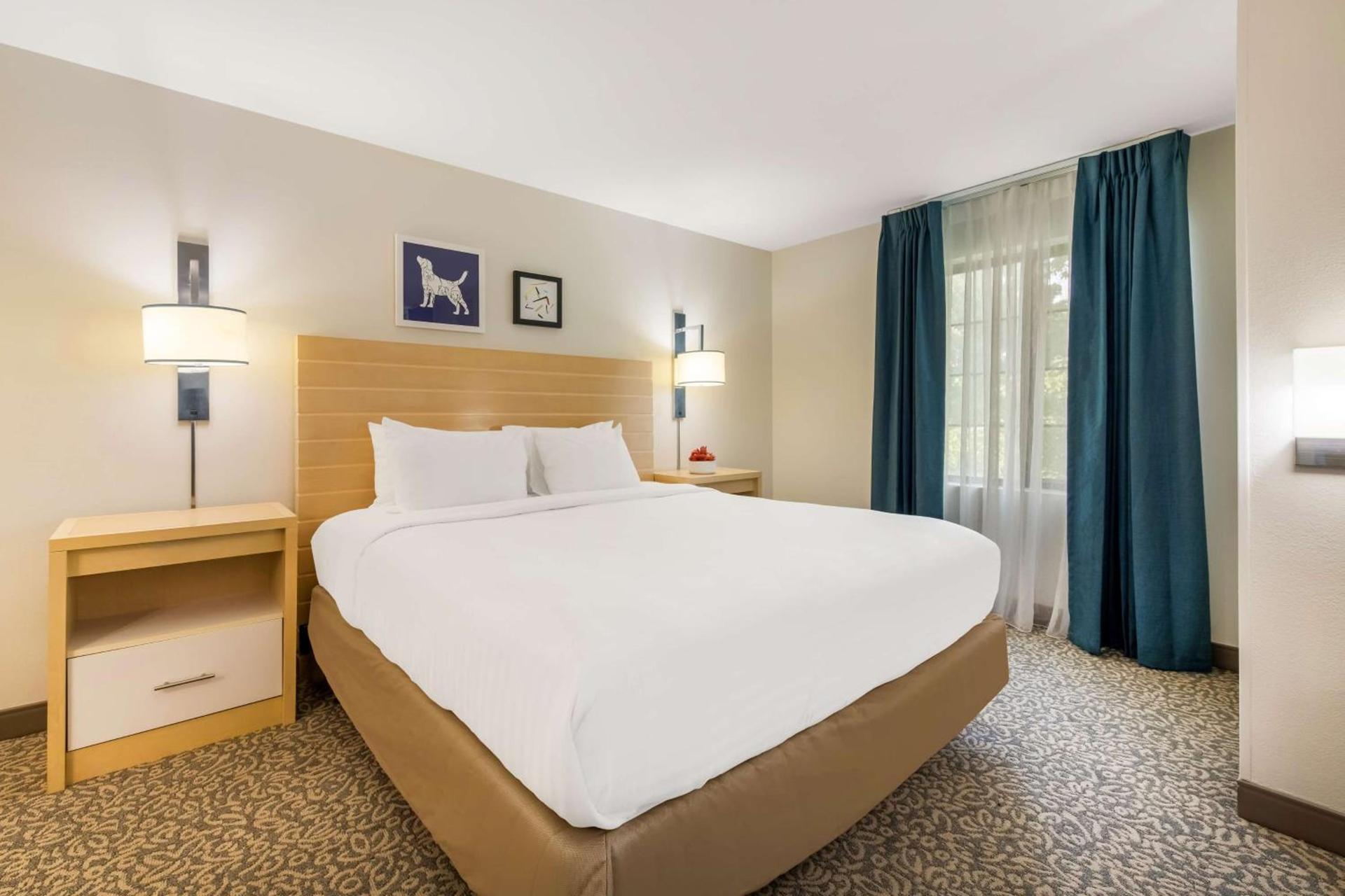 Sonesta ES Suites Charlotte Arrowood photo 6