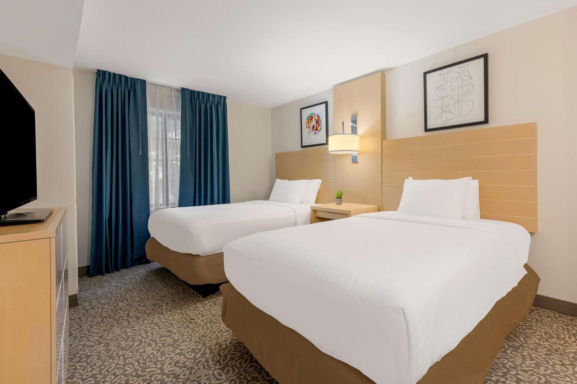 Sonesta ES Suites Charlotte Arrowood photo 18