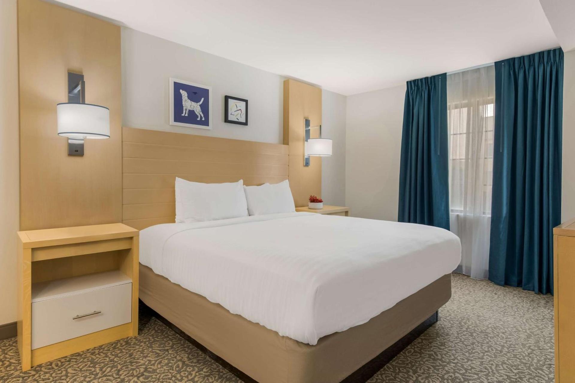 Sonesta ES Suites Charlotte Arrowood photo 15
