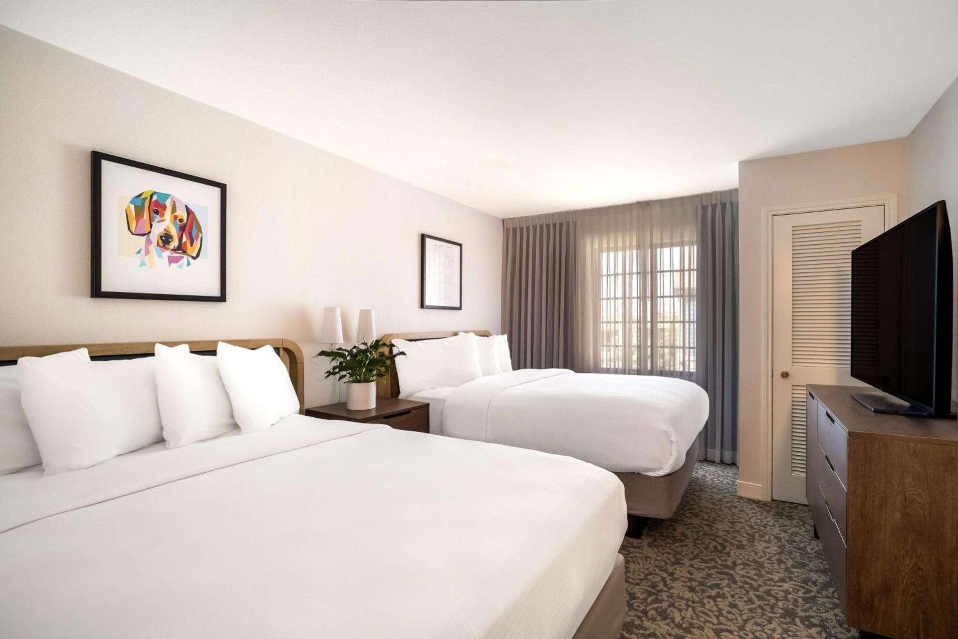 Sonesta ES Suites Denver South Park Meadows photo 20