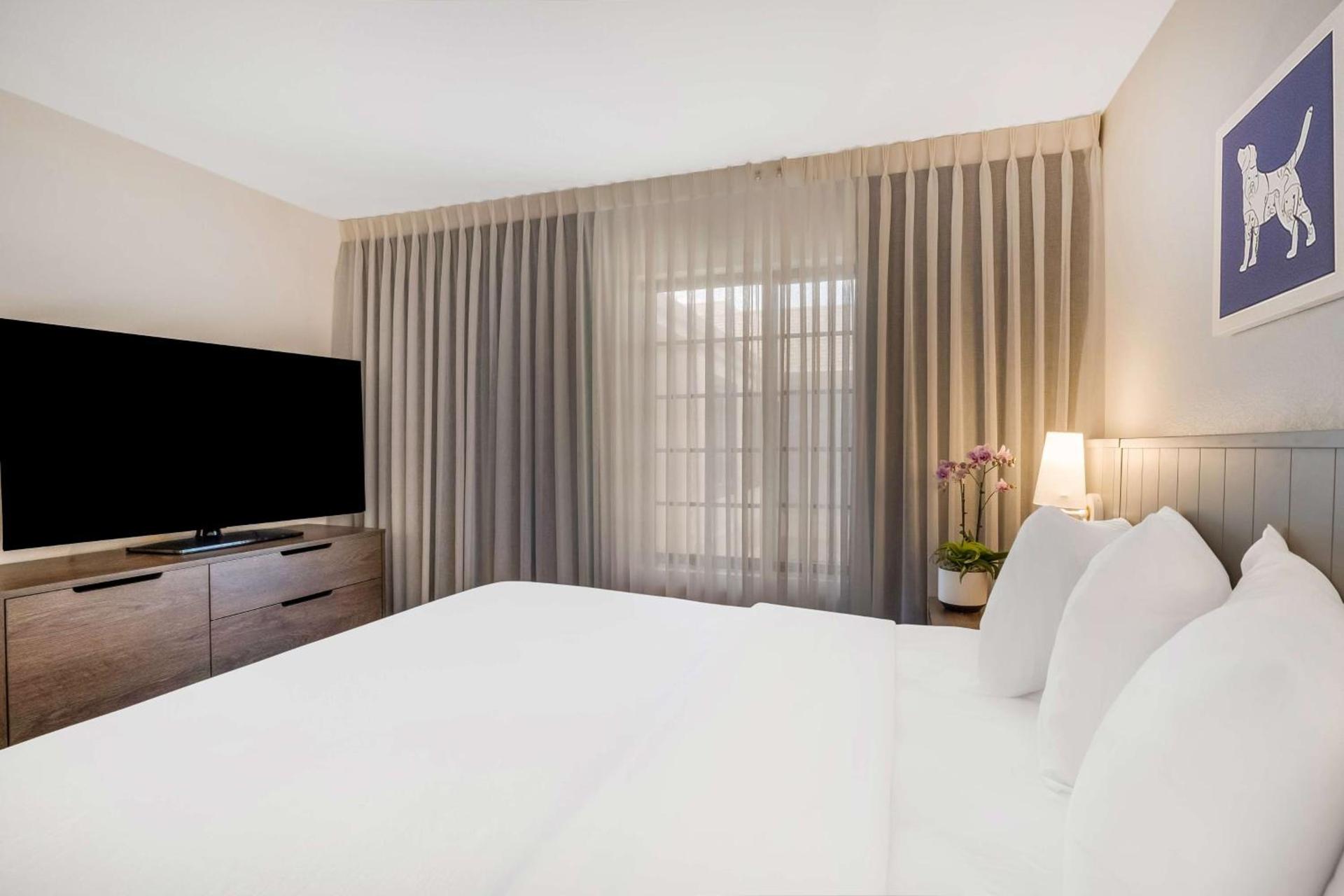 Sonesta ES Suites Denver South Park Meadows photo 32