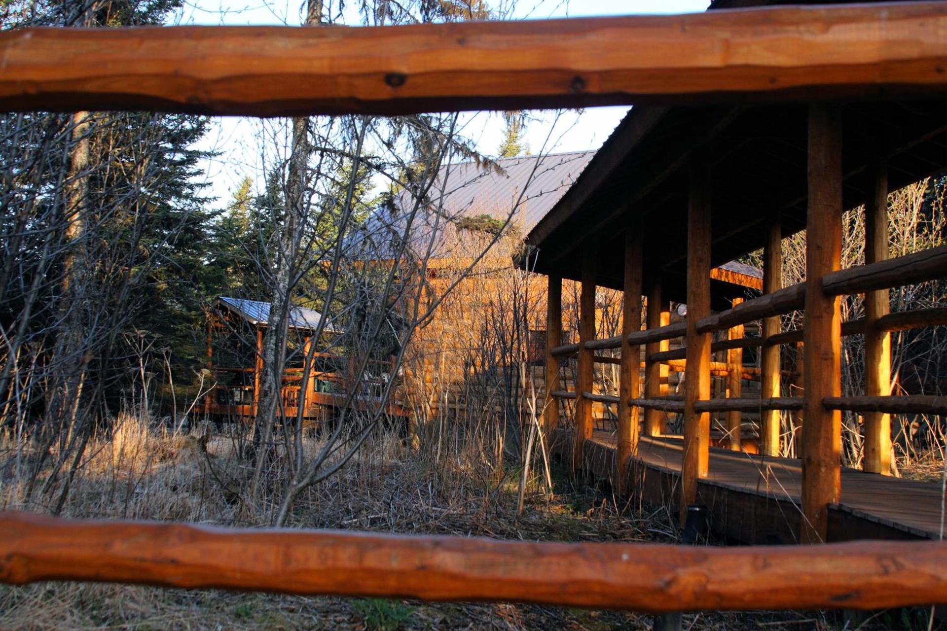 Wise Old Hunter Lodge photo 4