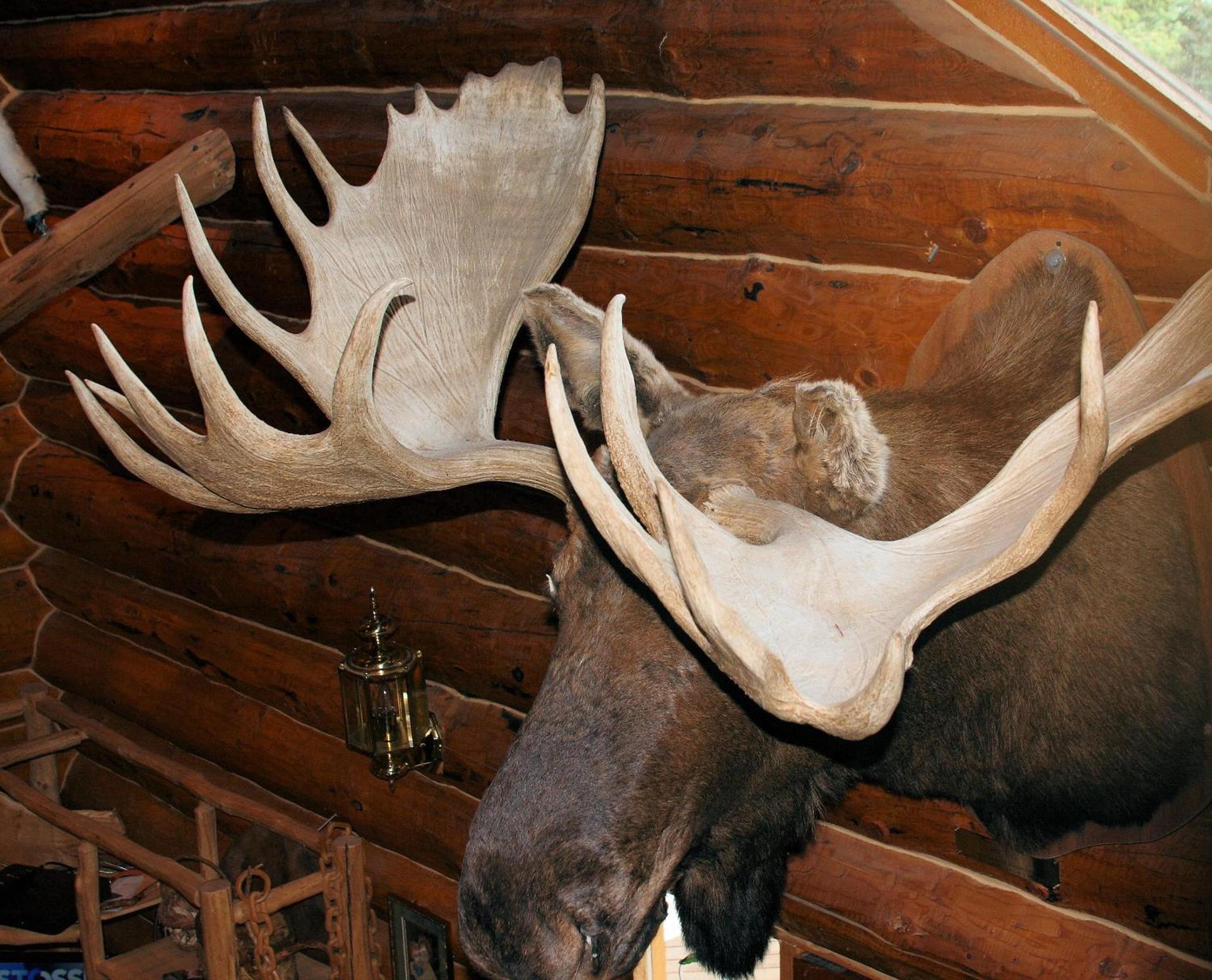 Wise Old Hunter Lodge photo 31
