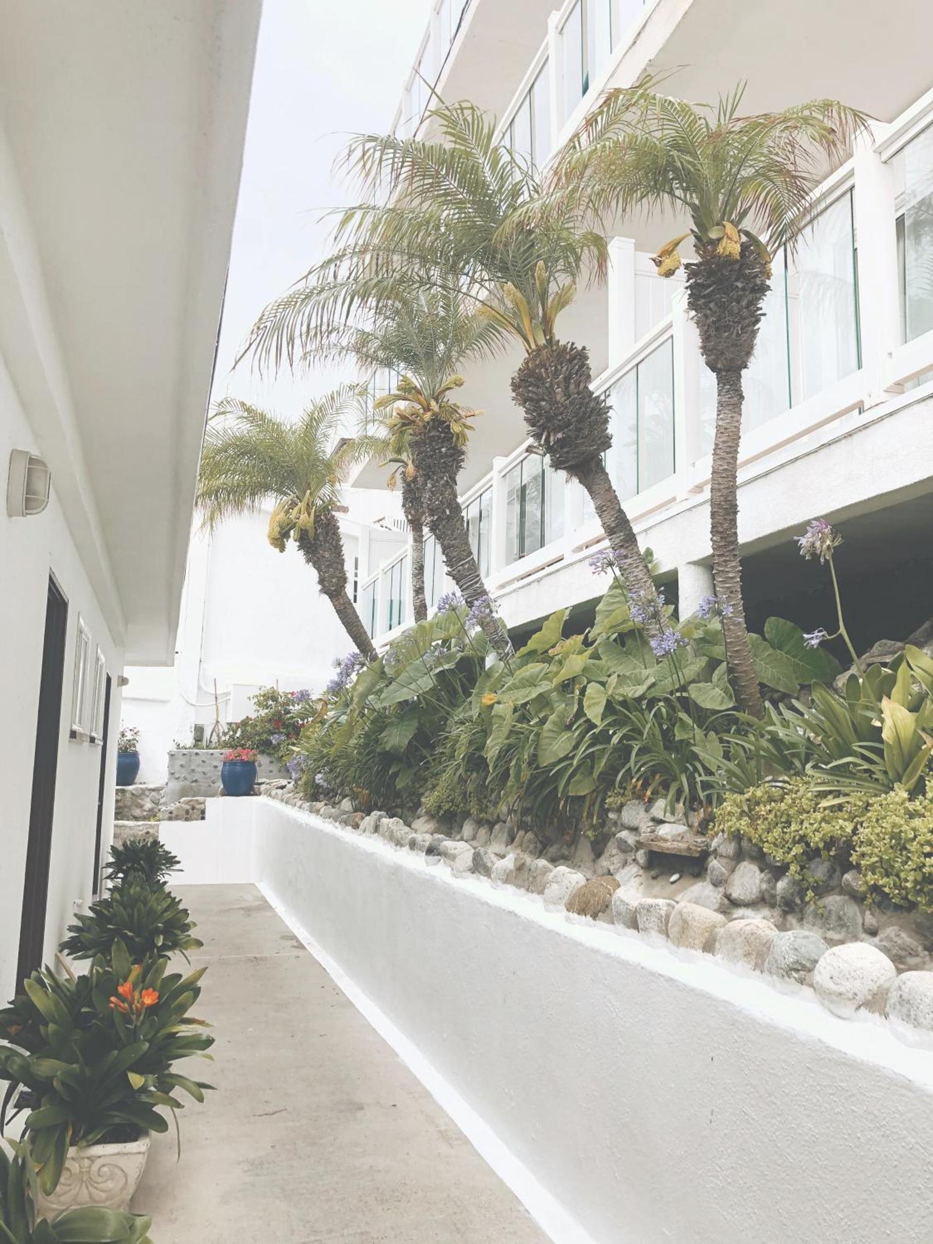 Capri Laguna on the Beach - A Boutique Hotel photo 83