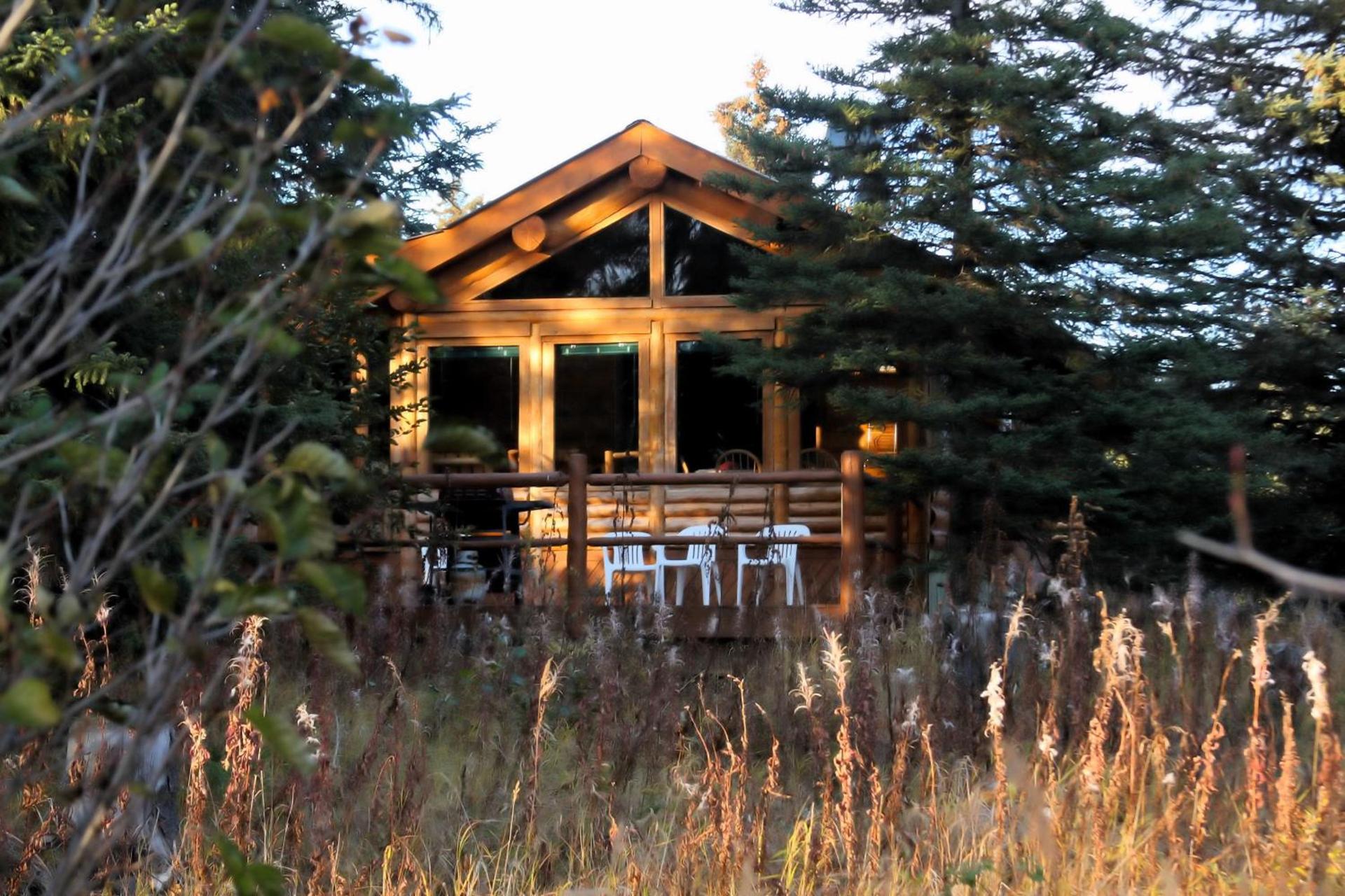 Moose Cabin photo 20