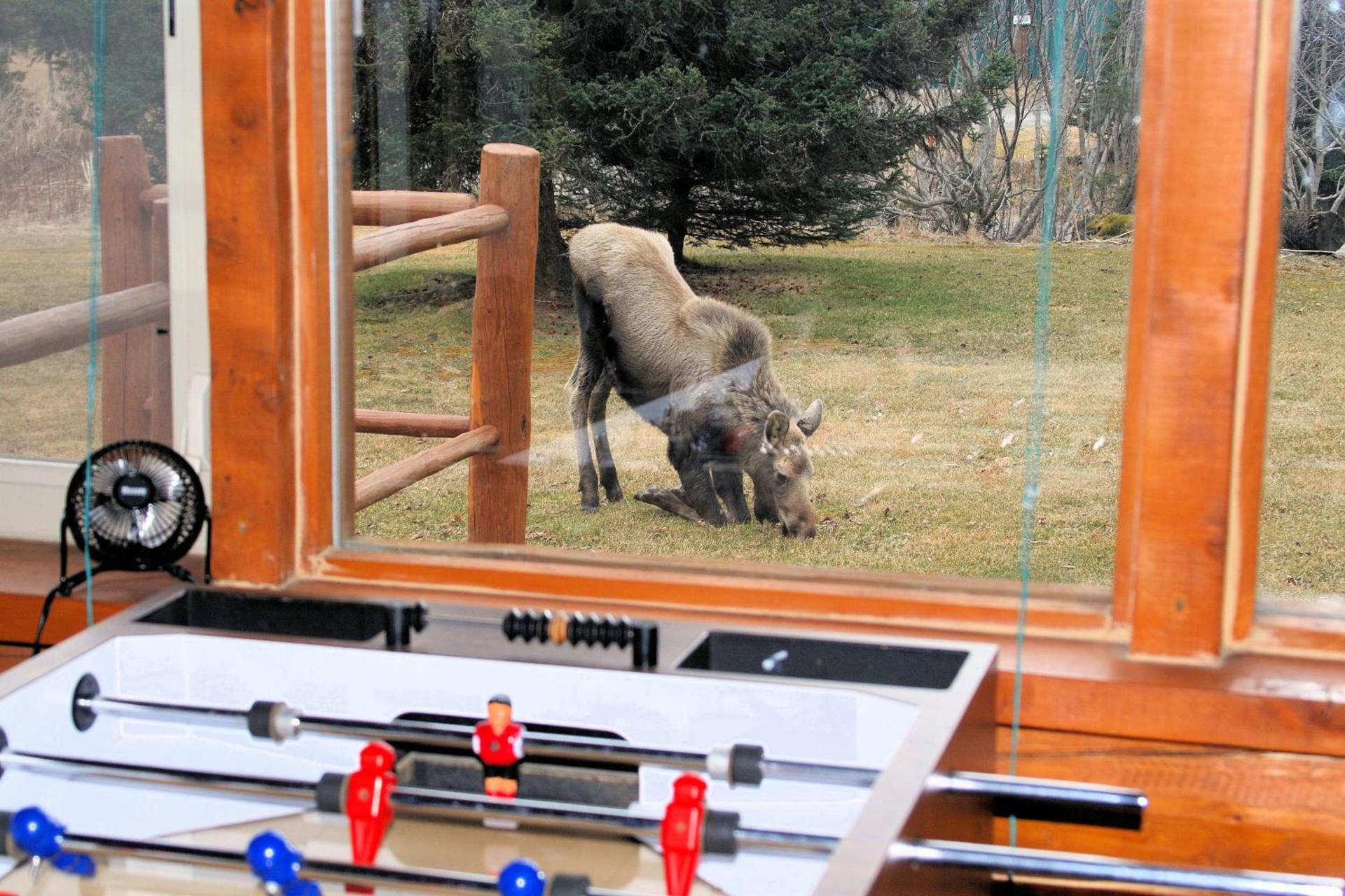 Moose Cabin photo 9