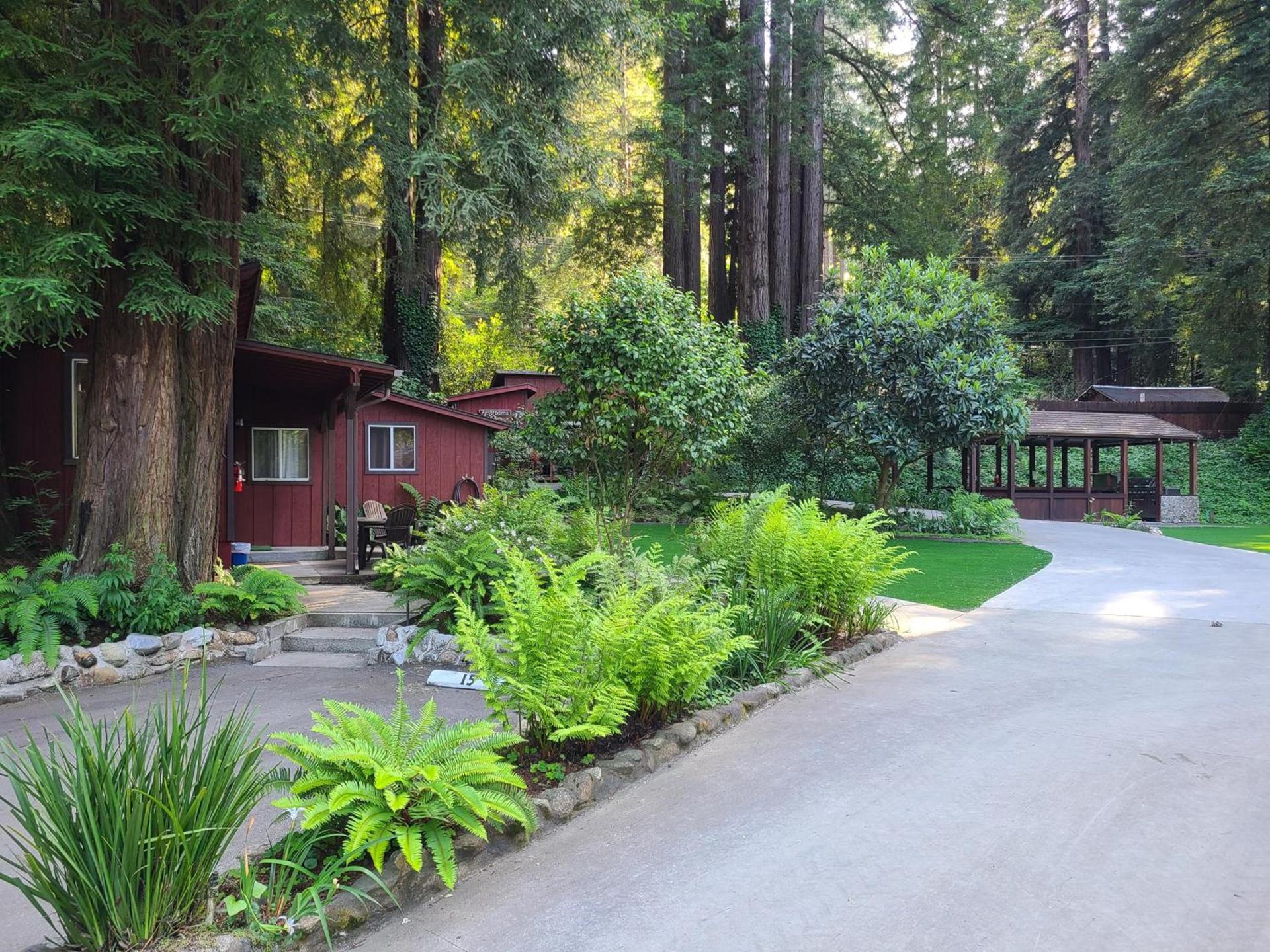Fern River Resort photo 11