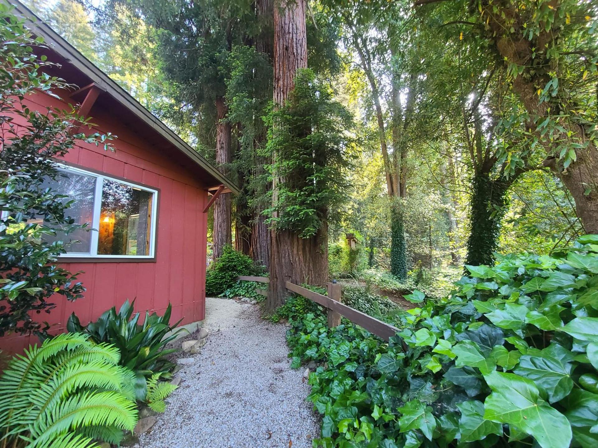 Fern River Resort photo 34