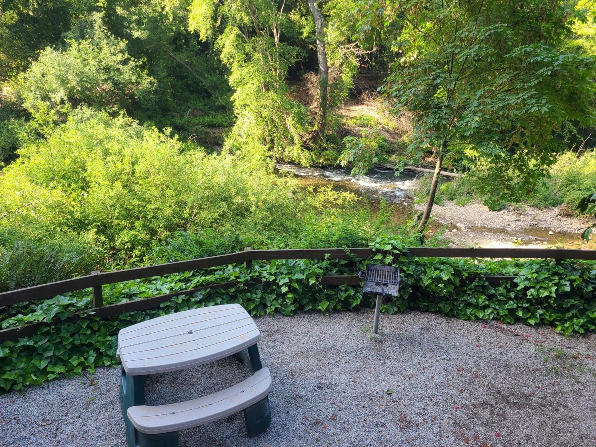 Fern River Resort photo 62