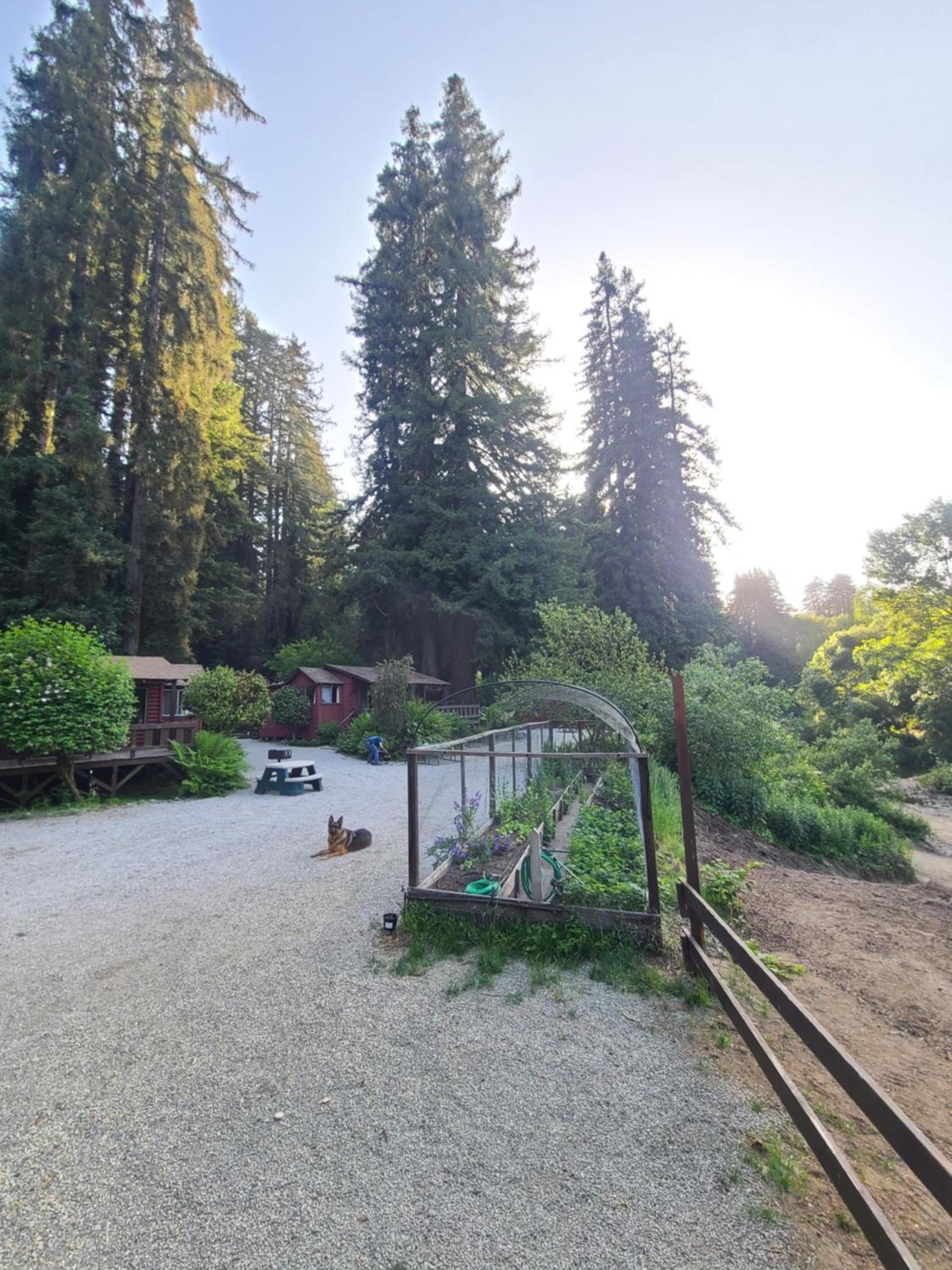 Fern River Resort photo 98