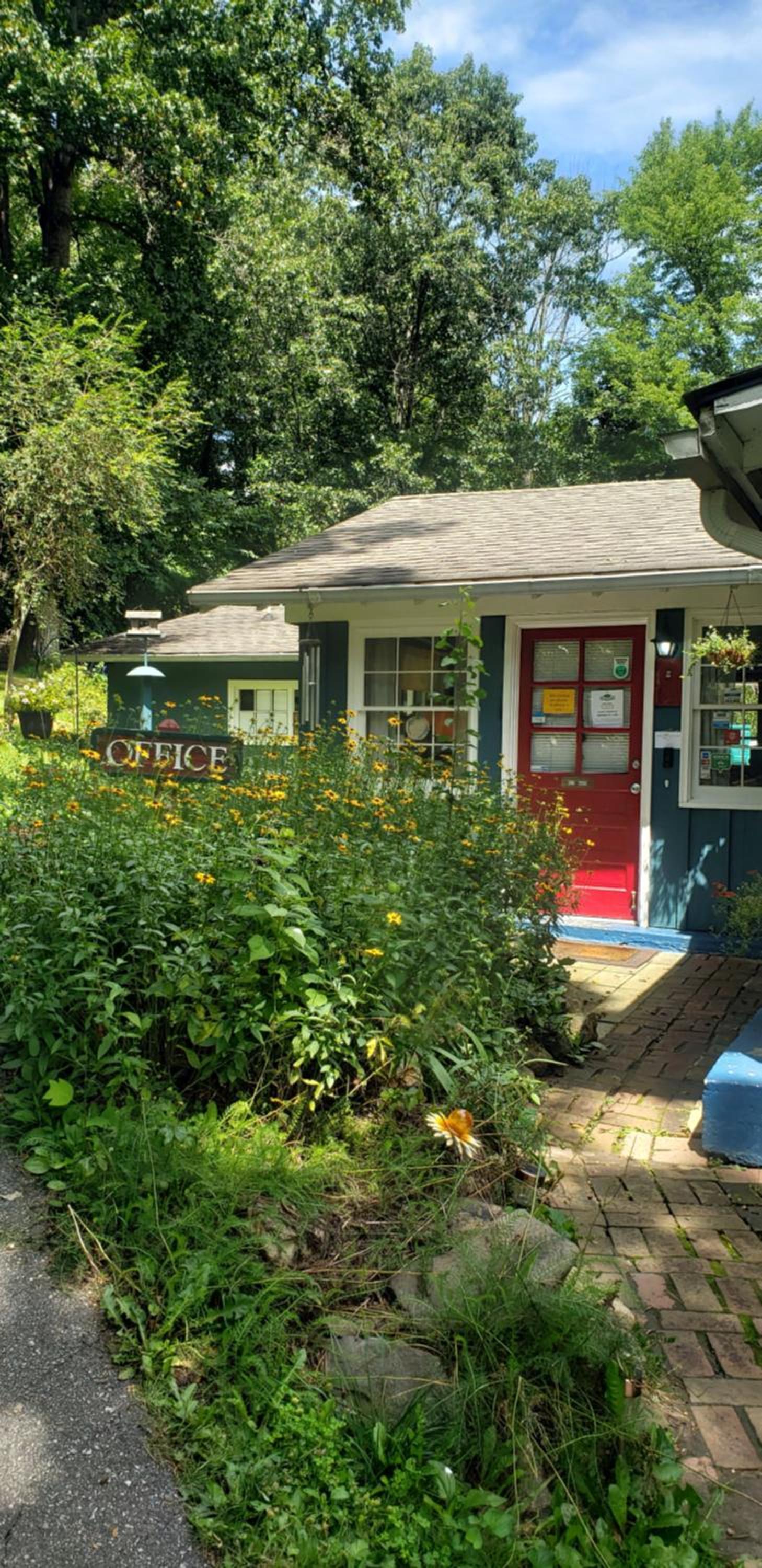 The Pines Cottages photo 62