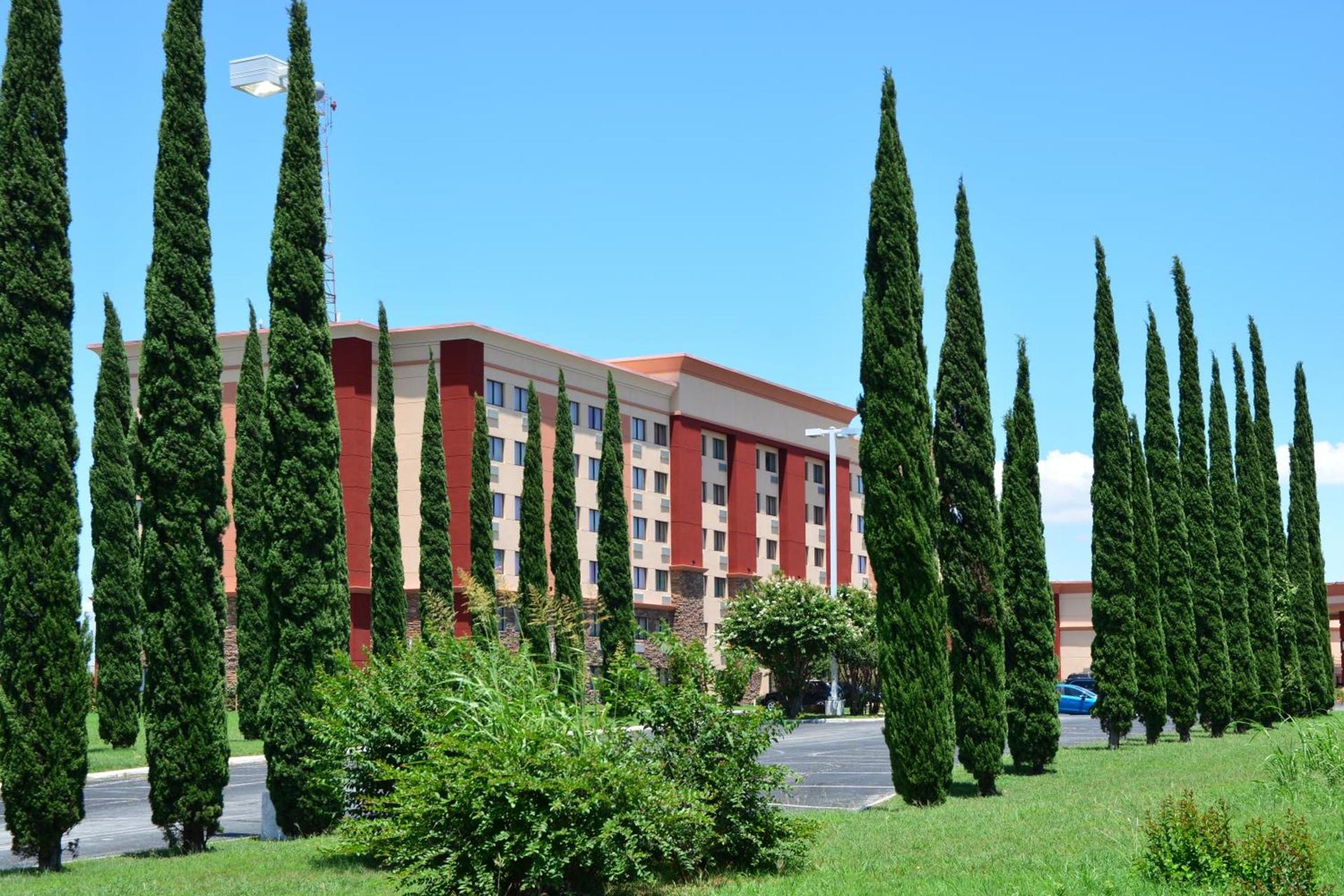 Lux Hotel & Spa photo 36
