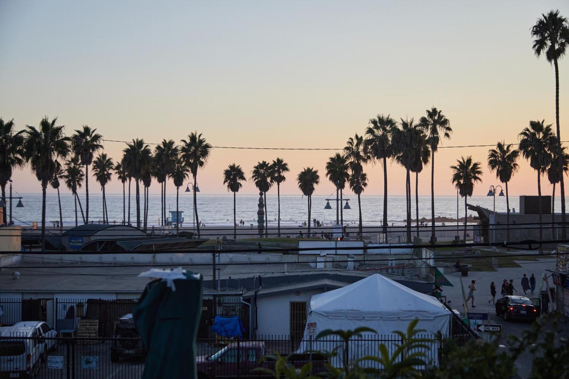 The Redline Venice photo 9