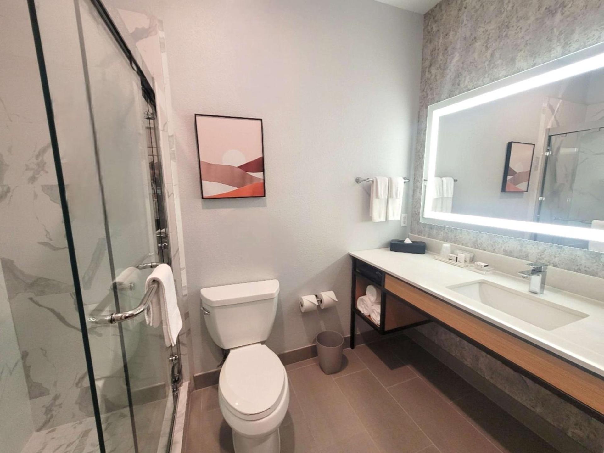 DoubleTree by Hilton Houston Westchase photo 68
