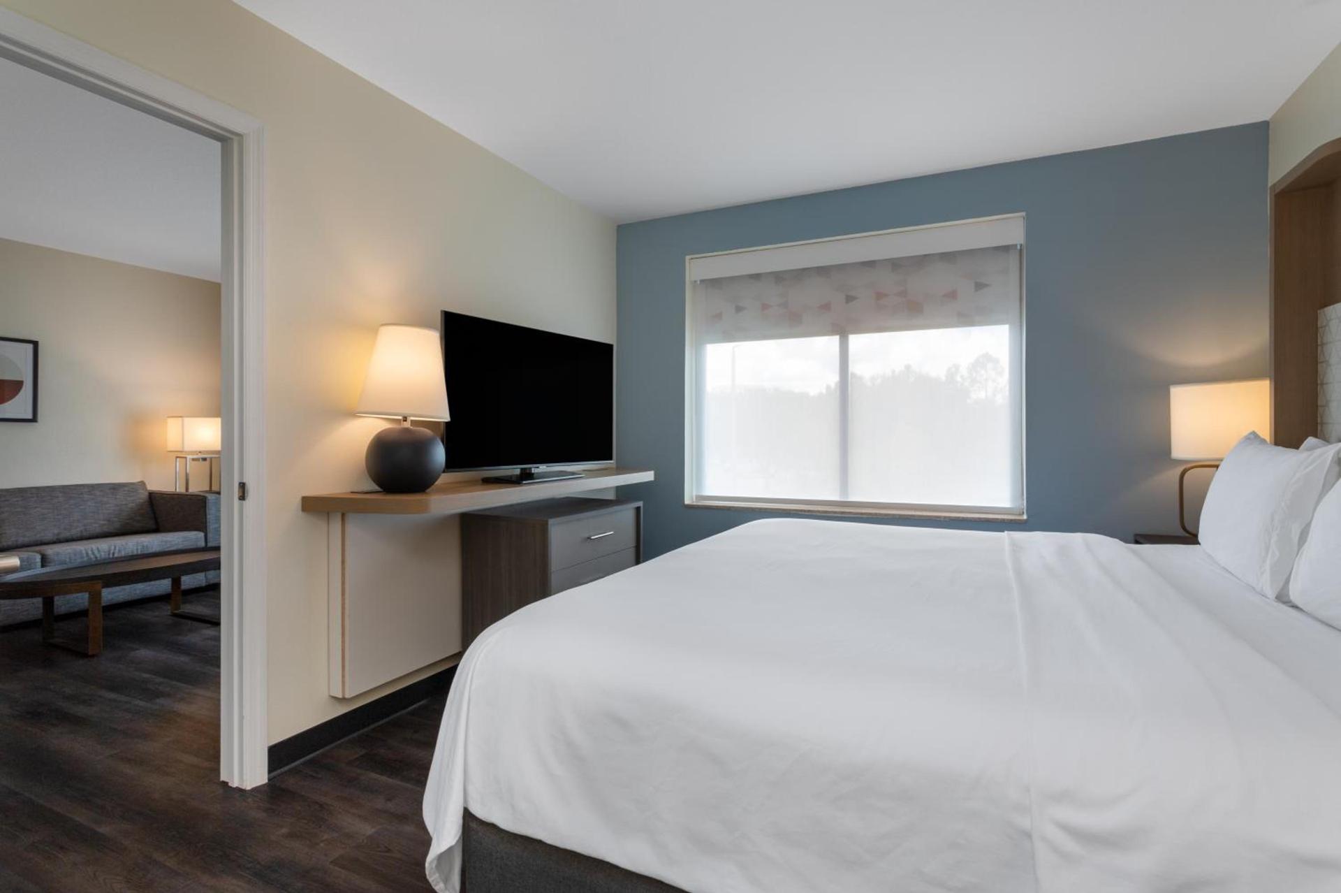 Holiday Inn - Tampa North by IHG photo 9