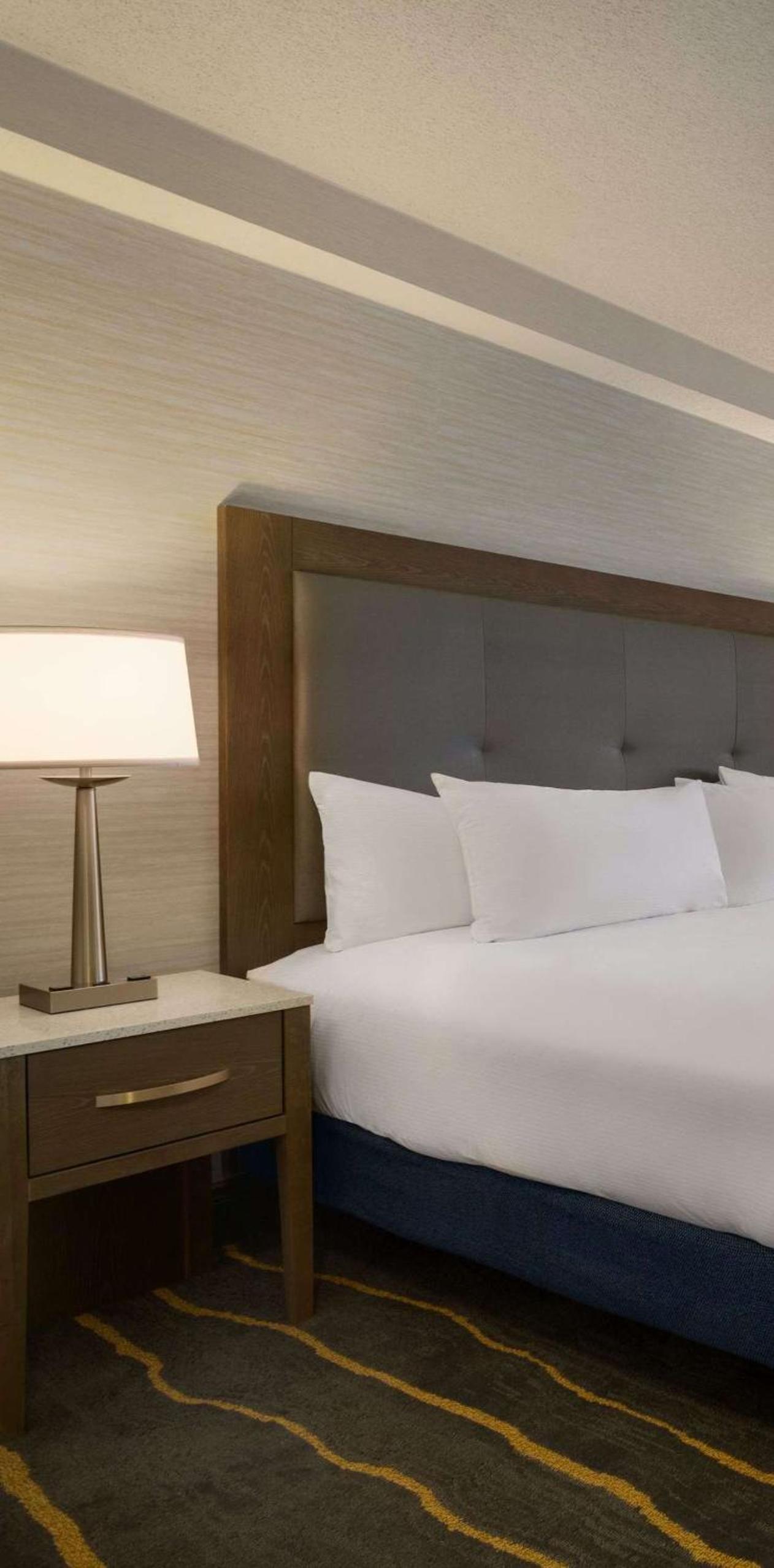 DoubleTree by Hilton Hotel Albuquerque photo 49